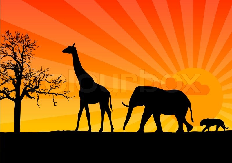 An African Proverb...