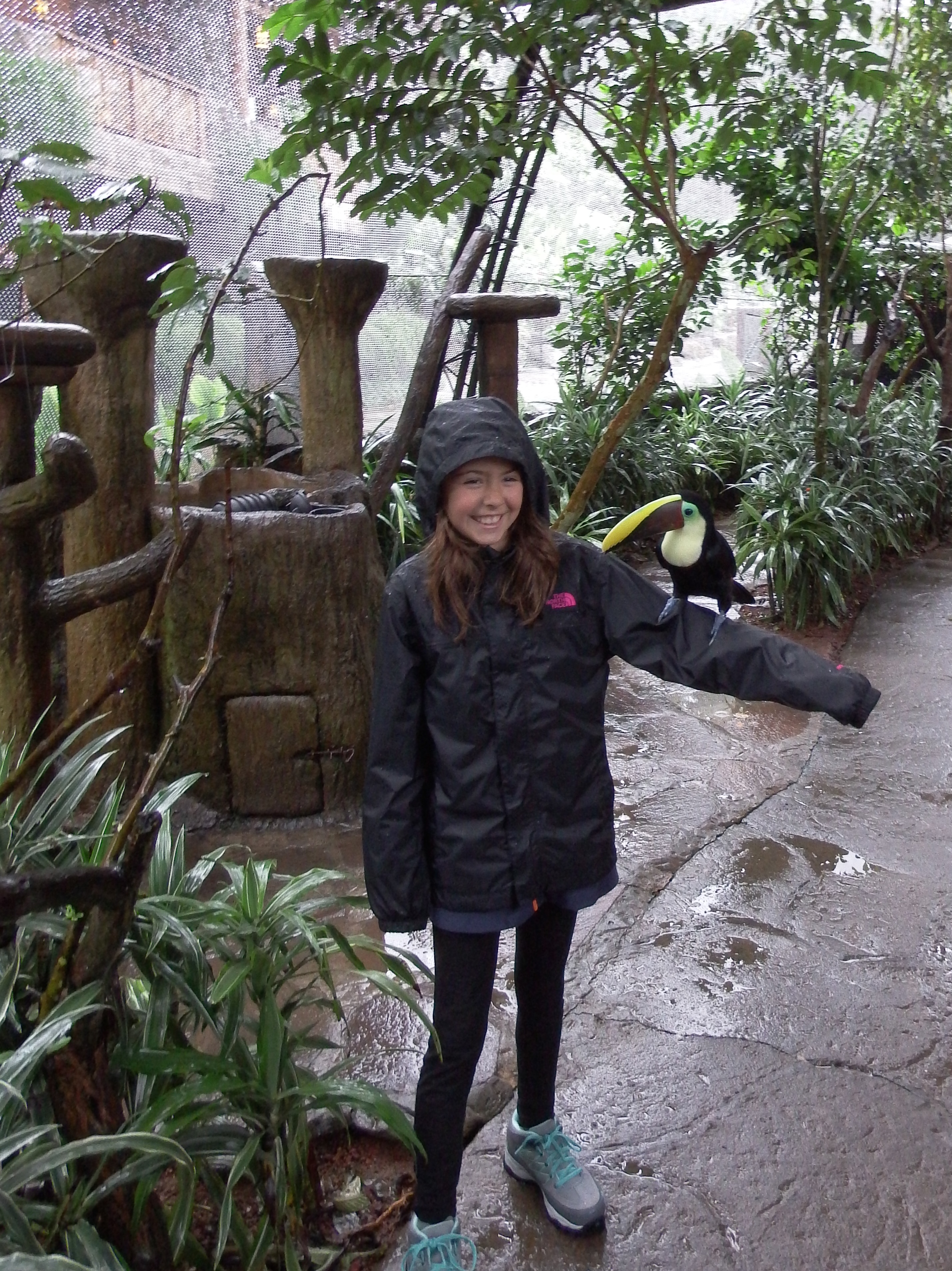 Waterfalls, Toucans and Hot Springs