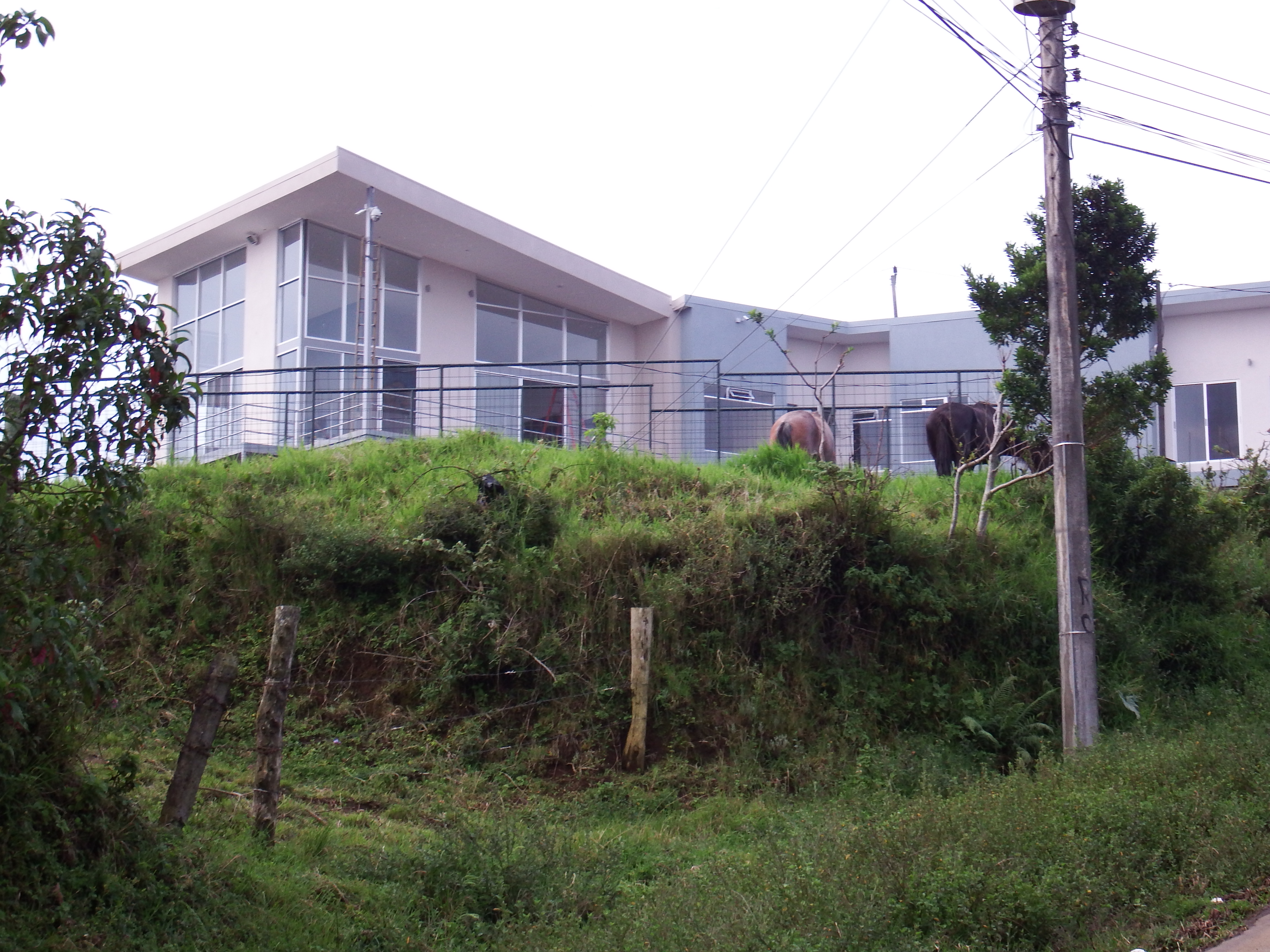 The New:  LA-Style mega-houses...