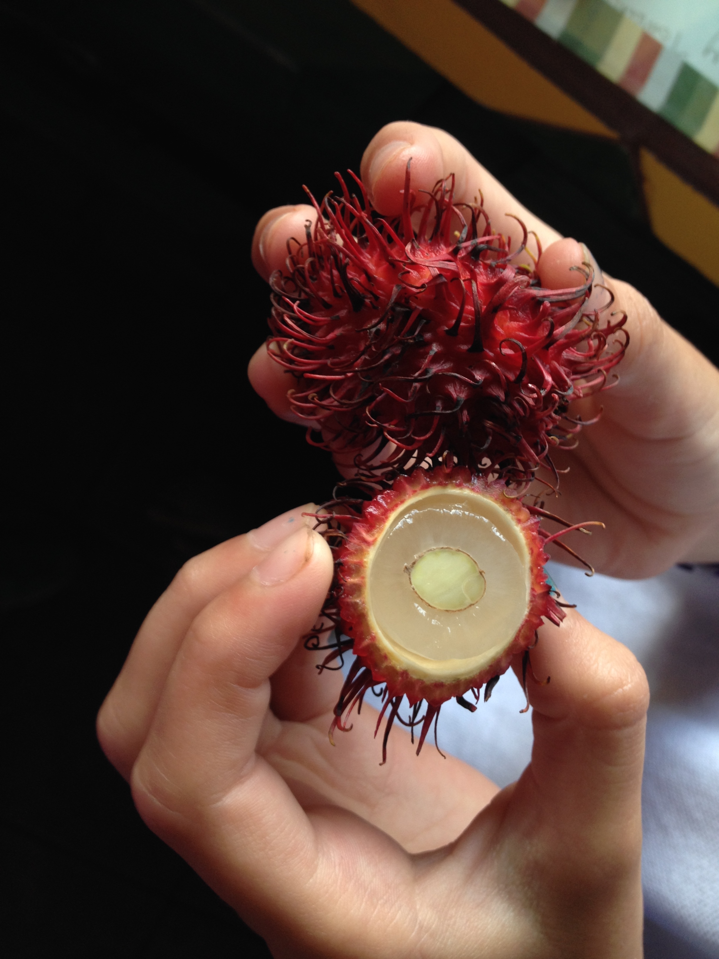 Daily life (eating and sleeping)