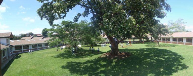Climbing Guayaba Trees and Slurping Flowers (by Charlie, Age 8)