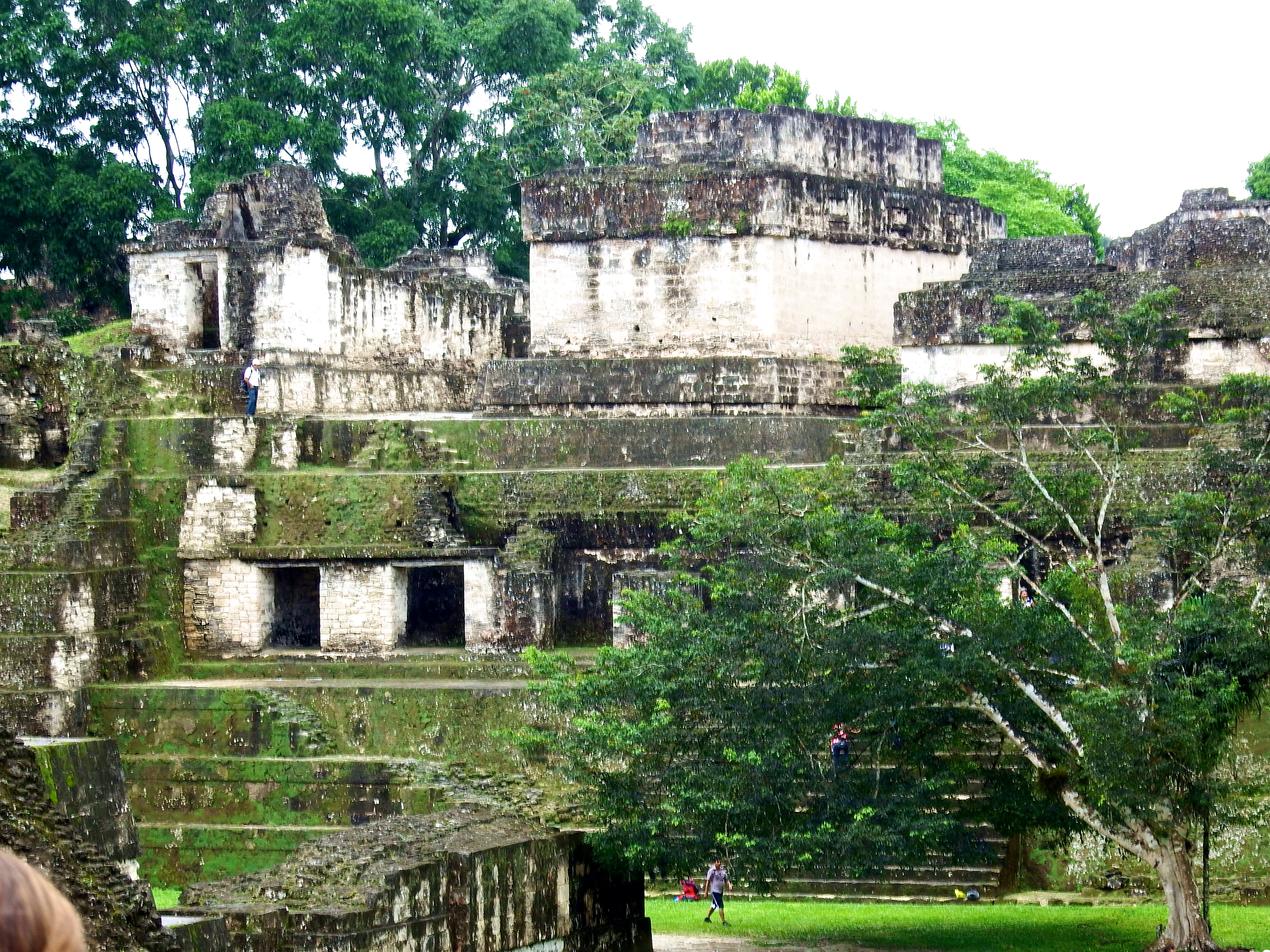 Former housing for some of the upper class in Tikal.  Killer views must have made it easy for 8th century realtors to find buyers.