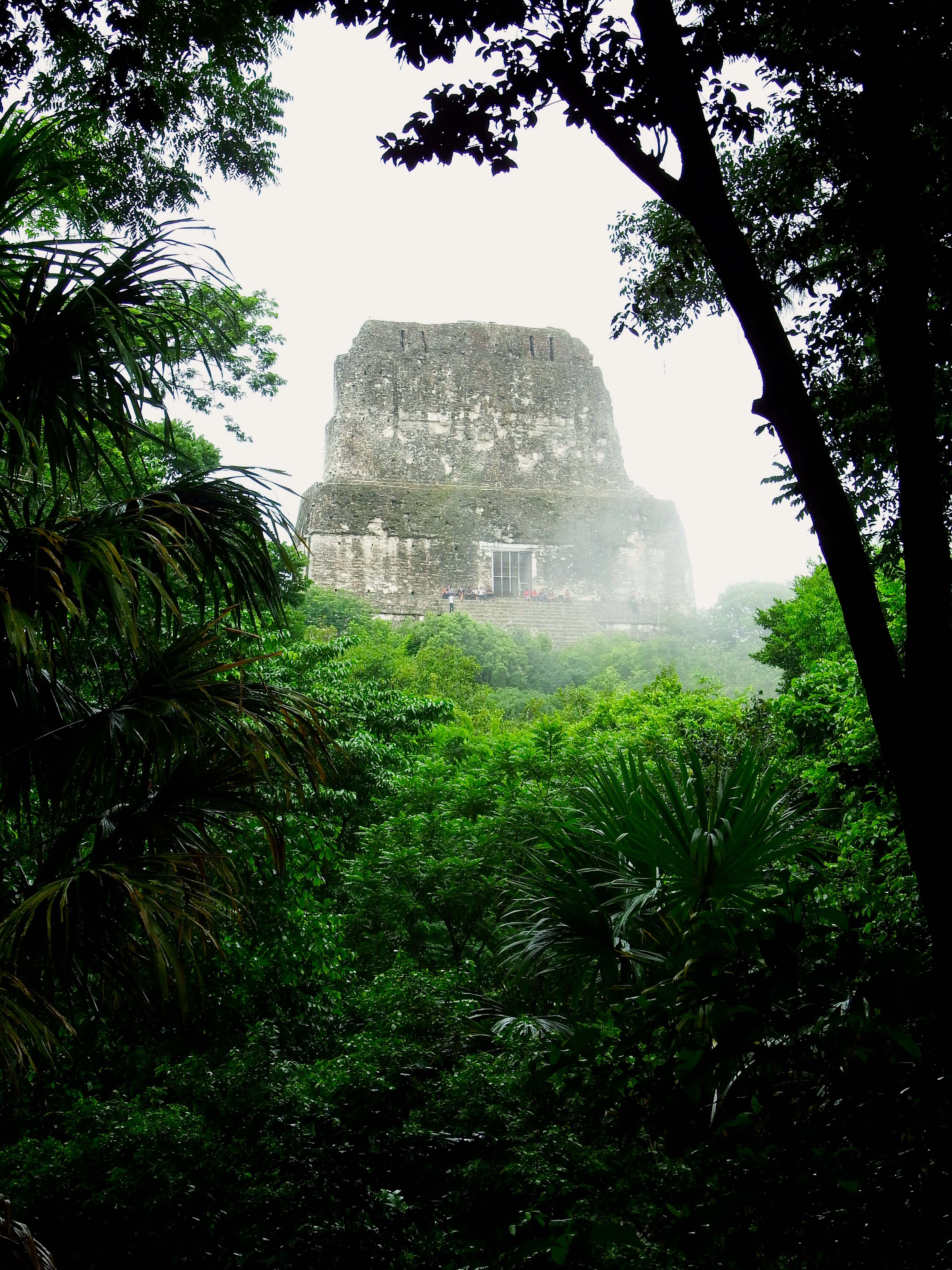 The top of one of the latest digs...now they just have to dig out the rest!