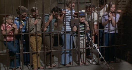 Come on Mike Brady, you can do it!