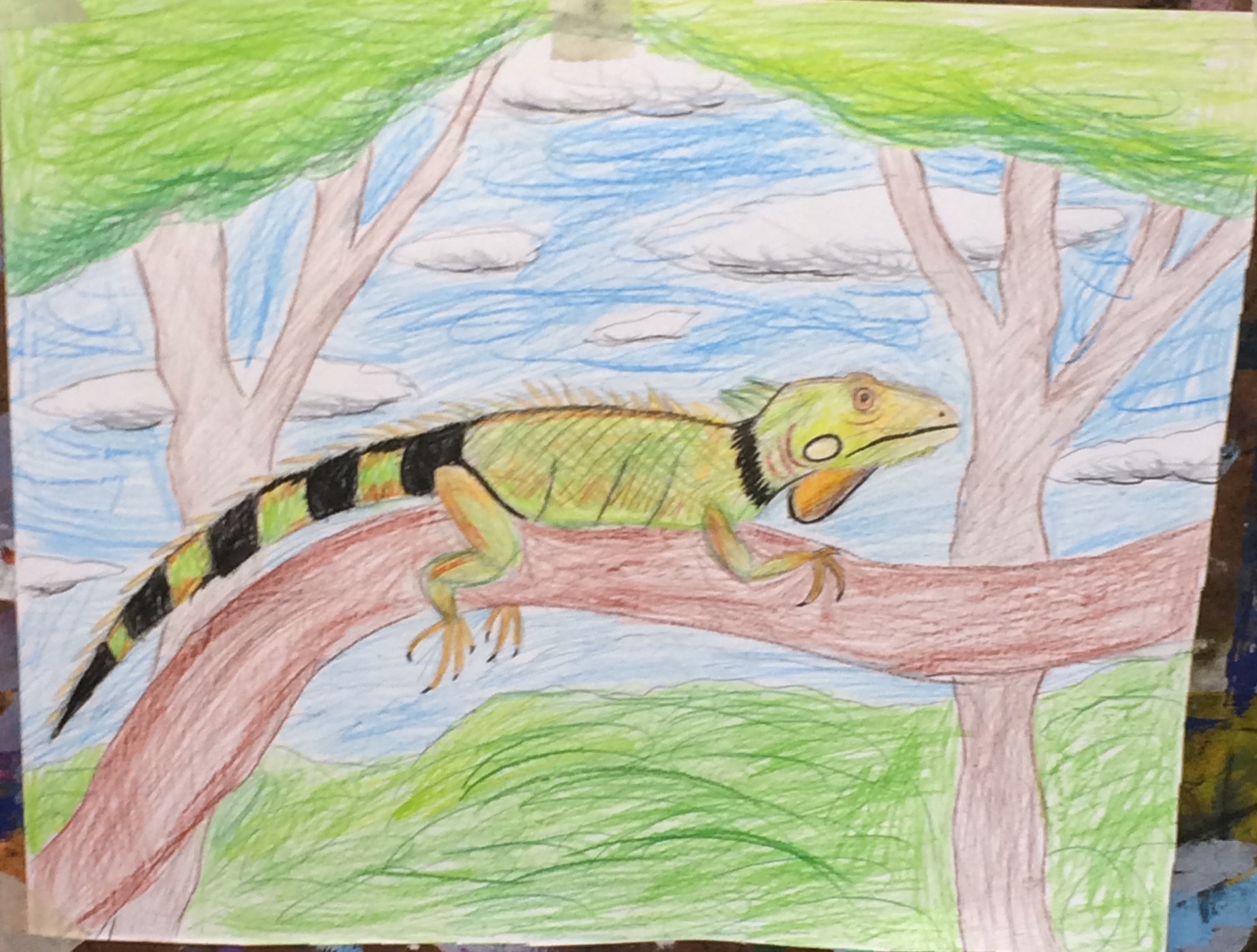 Charlie's latest colored-pencil drawing from school (she has him working on blending colors right now)