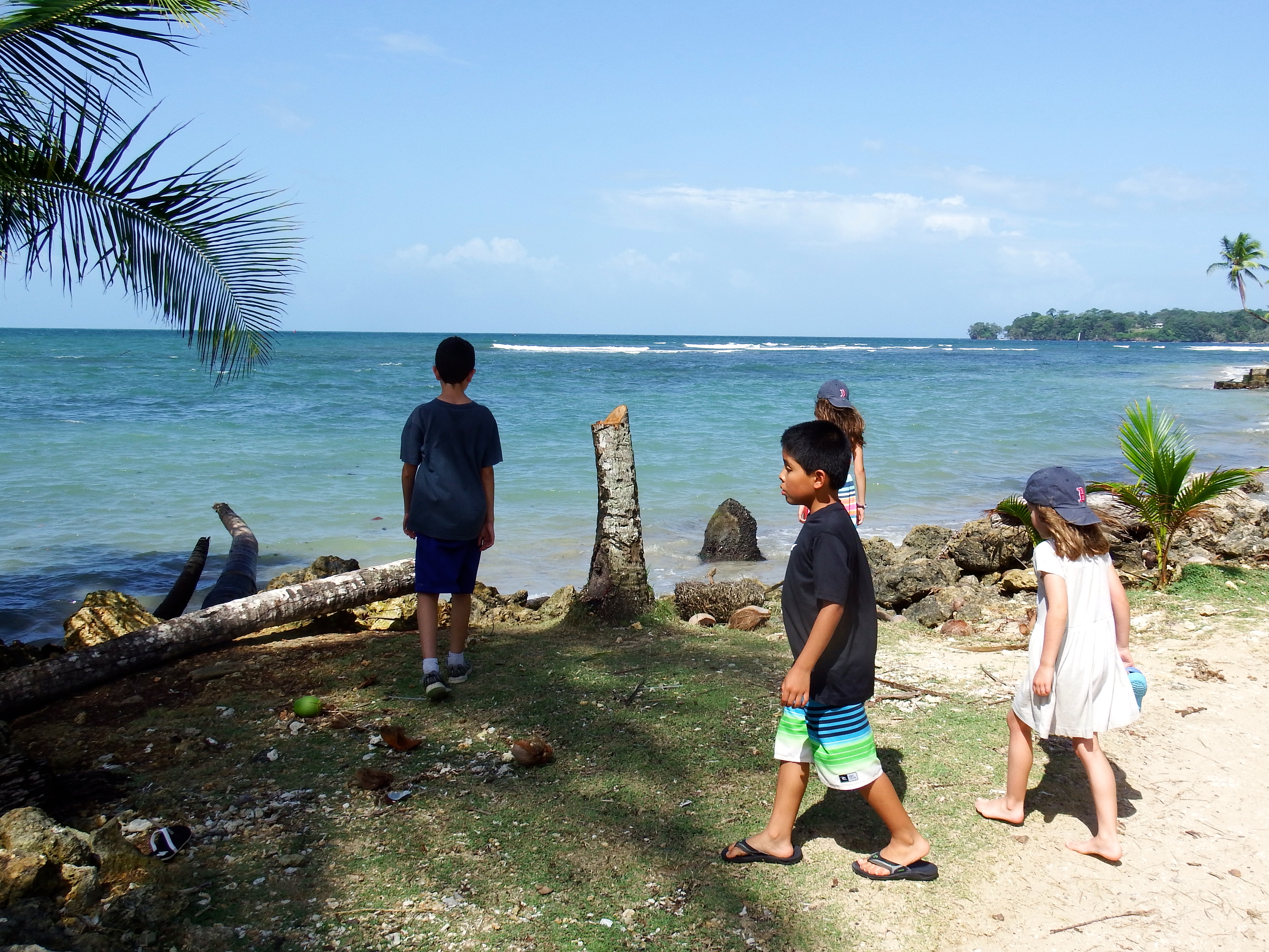 Looking for coconuts to smash!