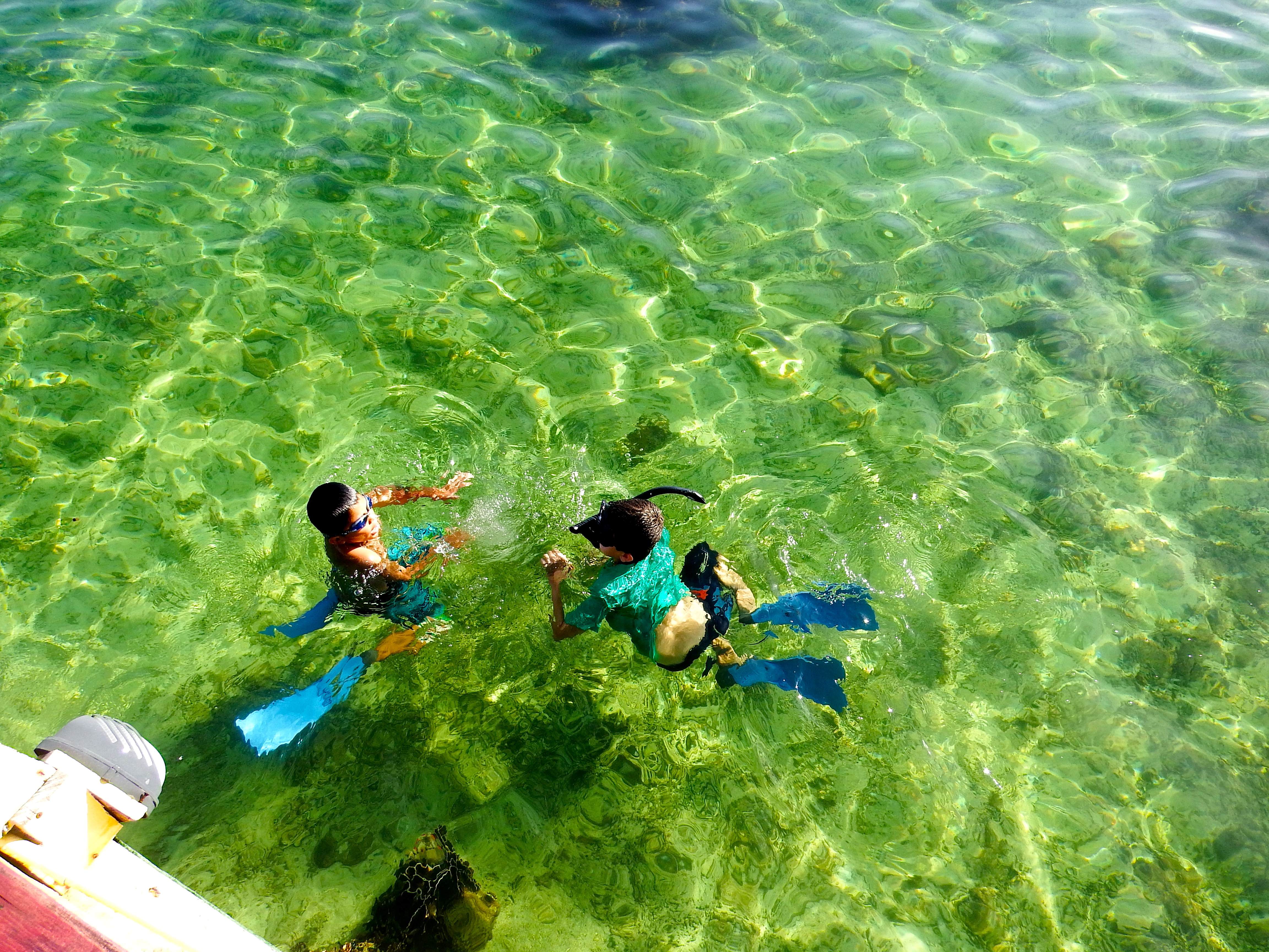 Jack and Charlie snorkeling.