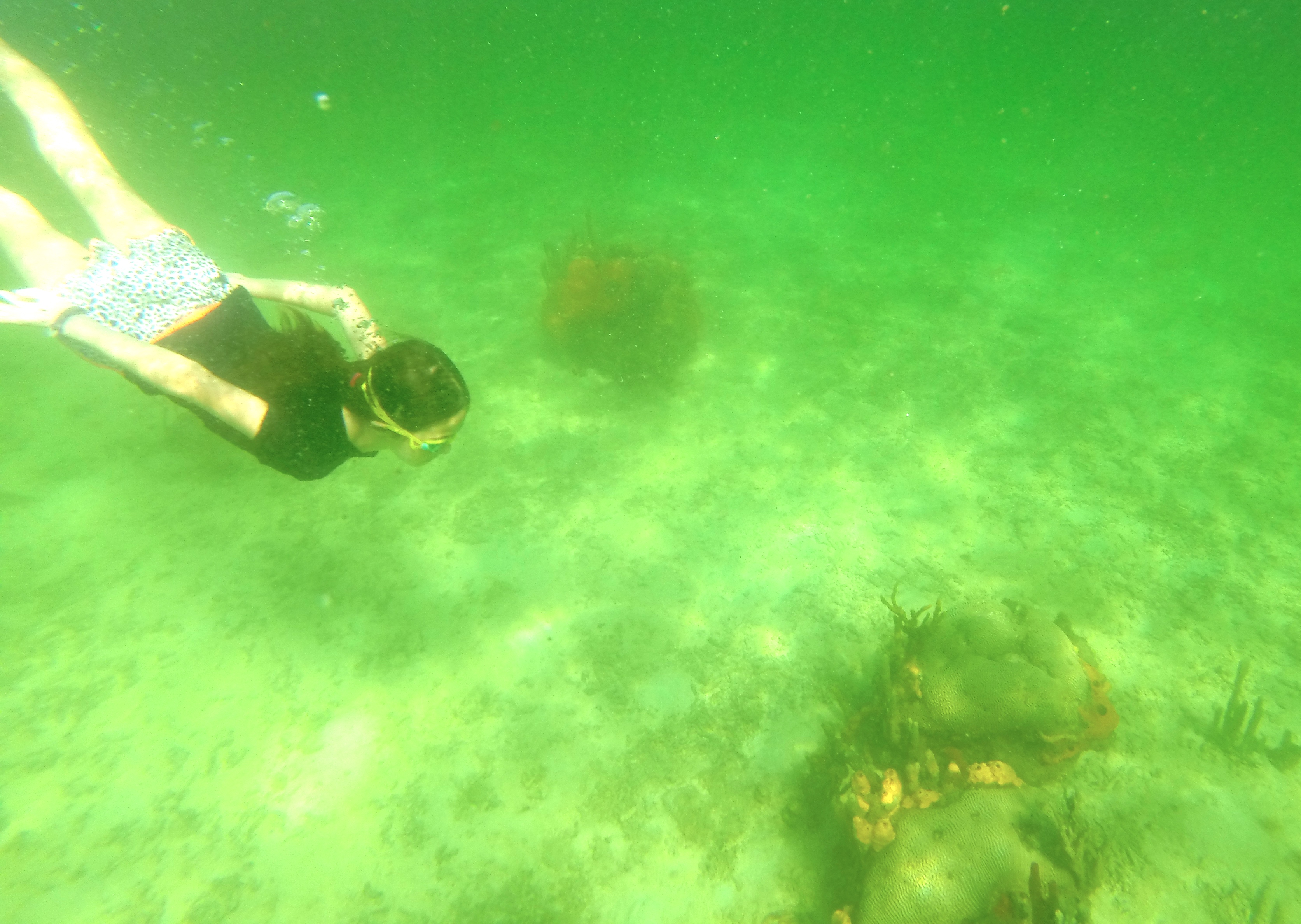 Me diving down near the hotel.