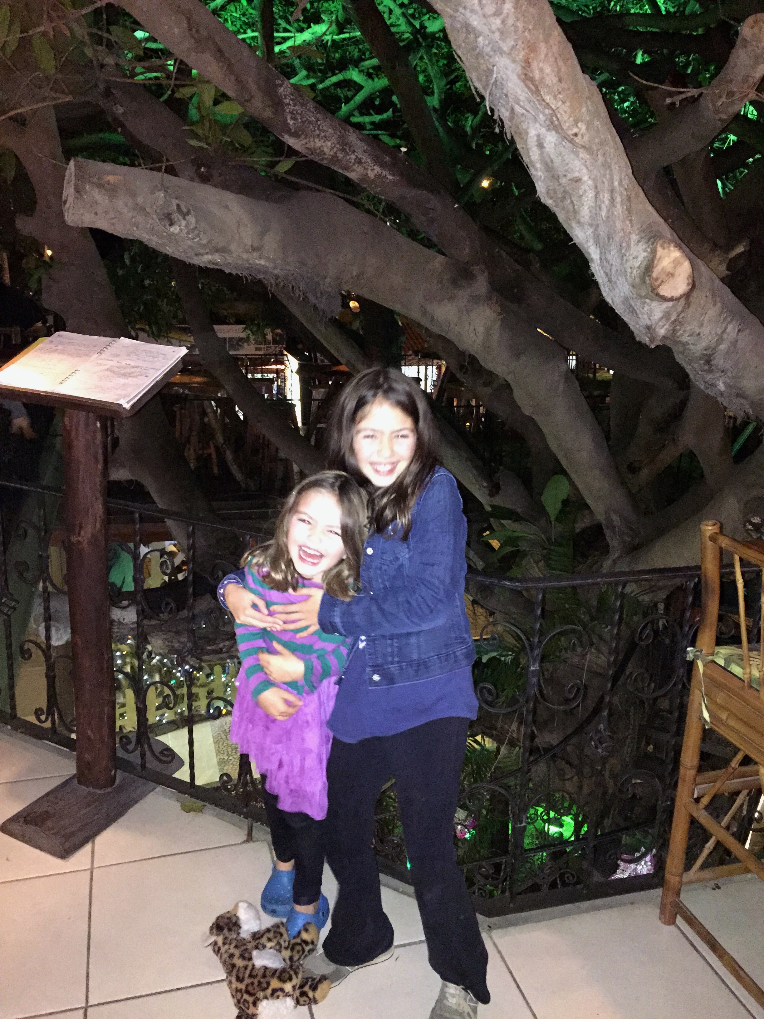 At the tree house restaurant.