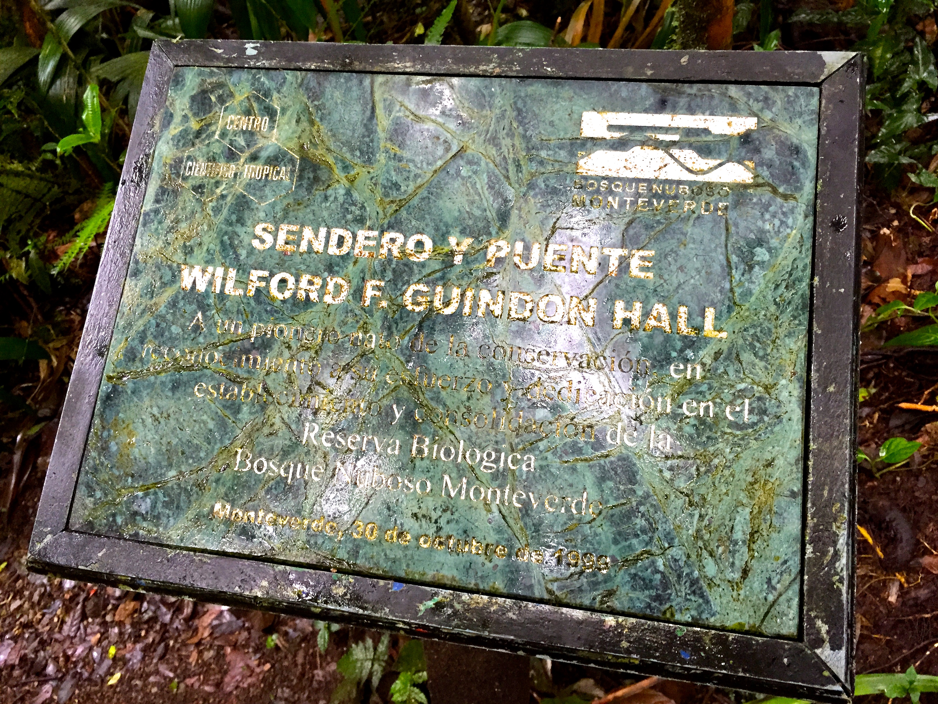 The sign from mom and dad's bridge!