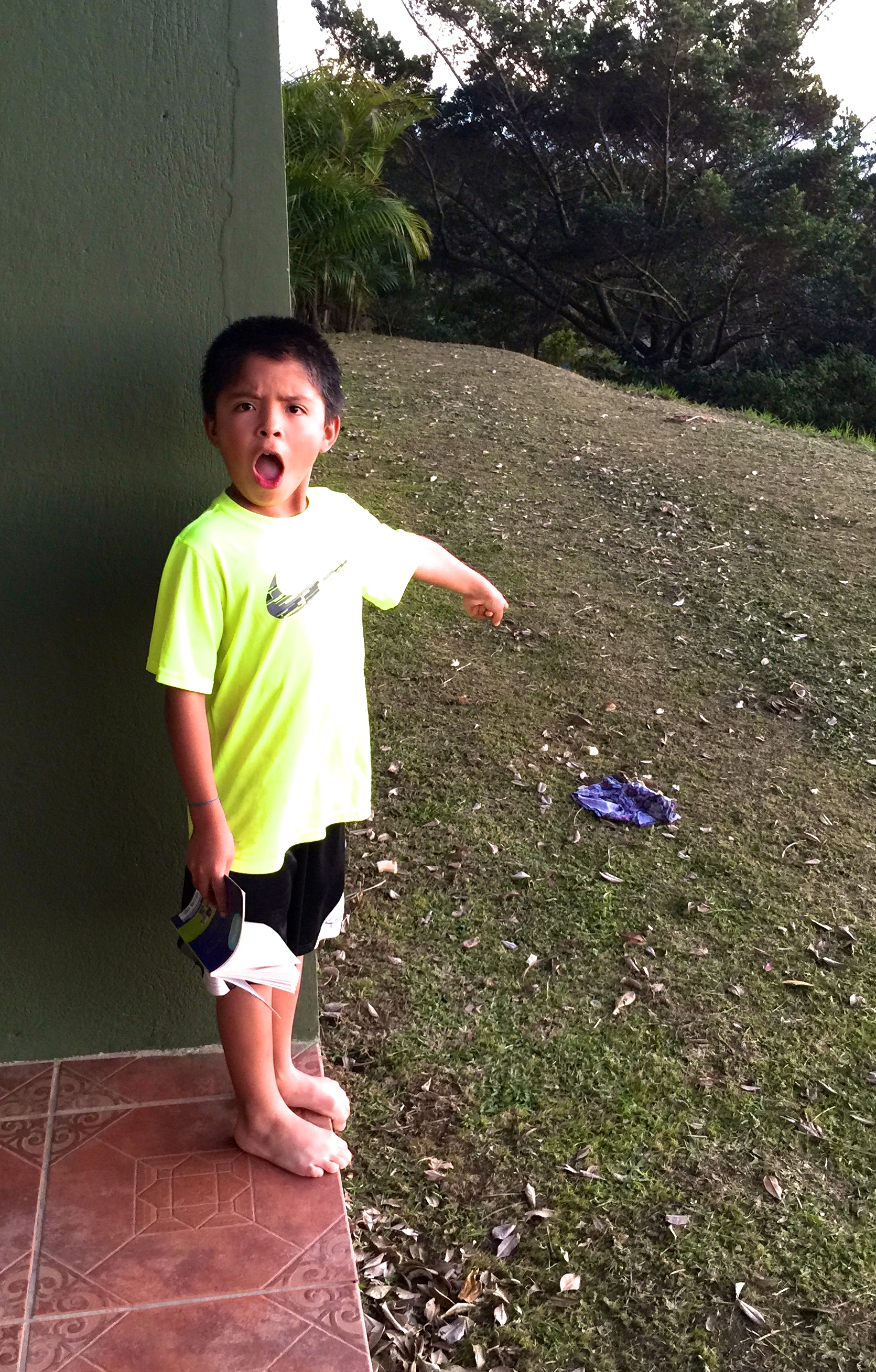 Whoops!  There it is!