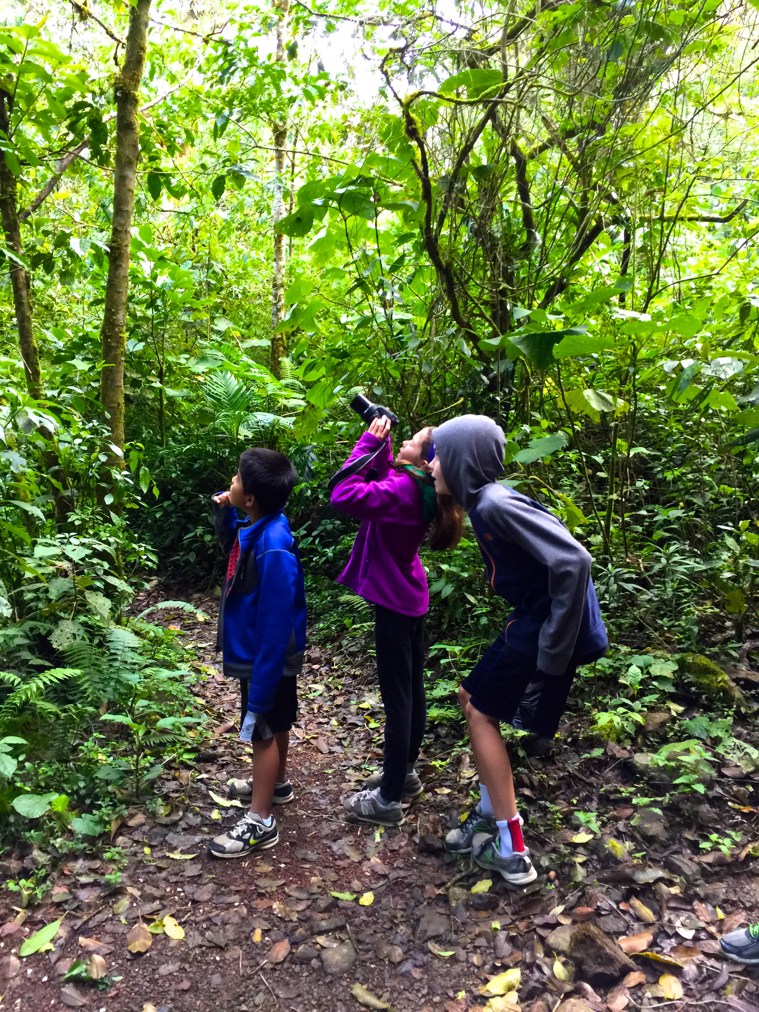 Dad took a picture of us taking a picture of the quetzal!
