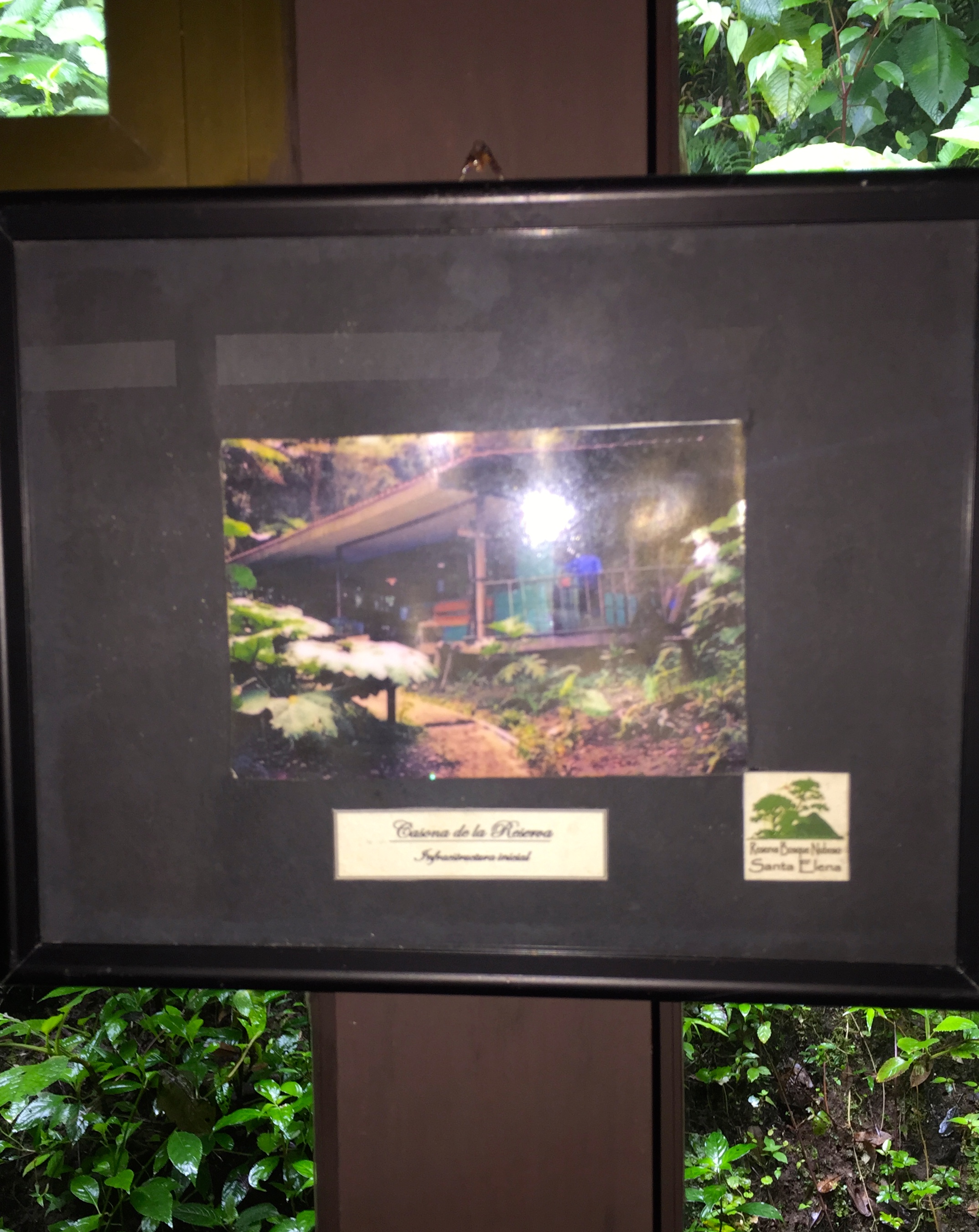 We found a picture of what the guide cabin used to look like when Dad volunteered here a long time ago!