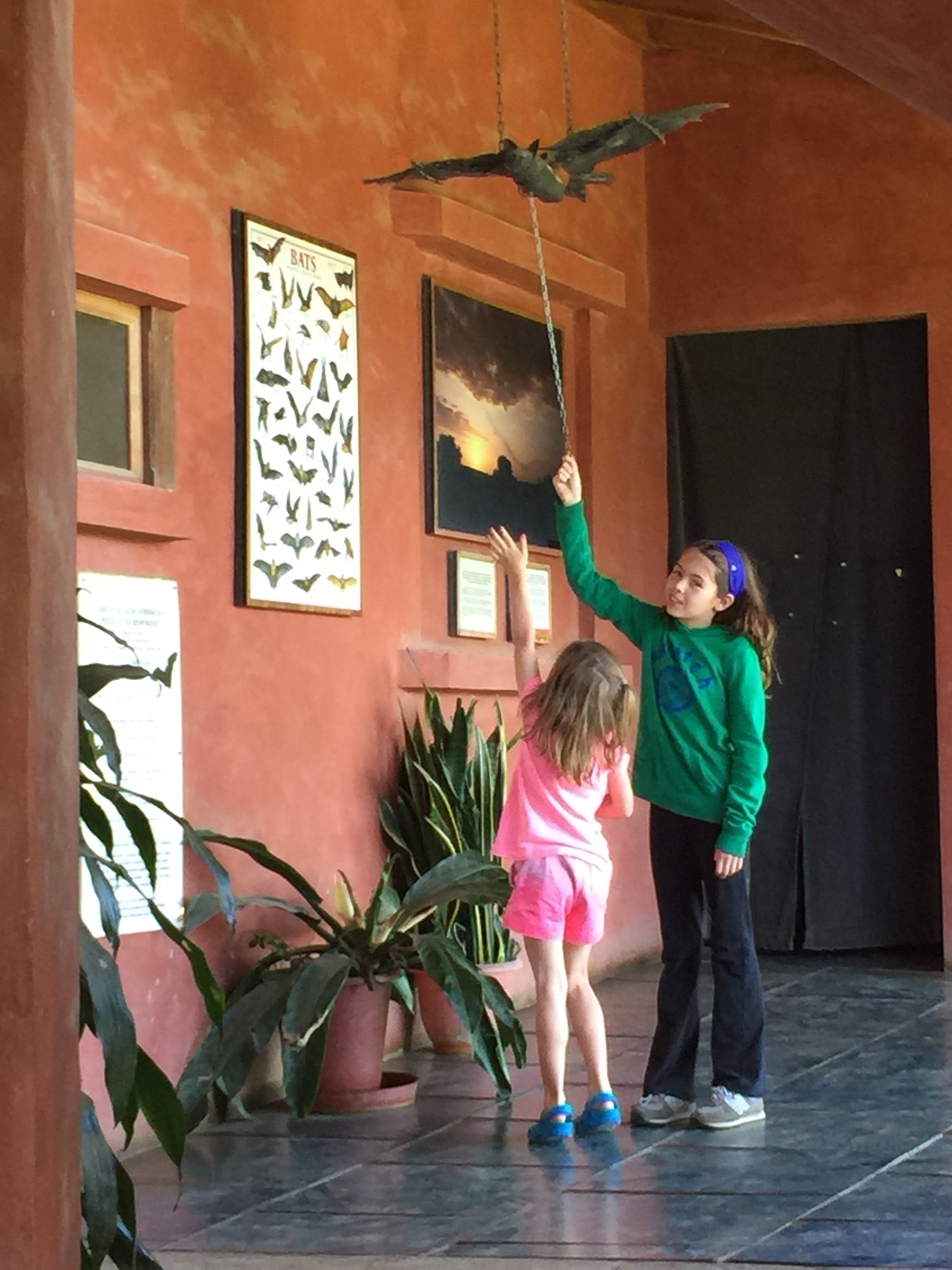 The biggest bat in Monteverde is as big as this thing!