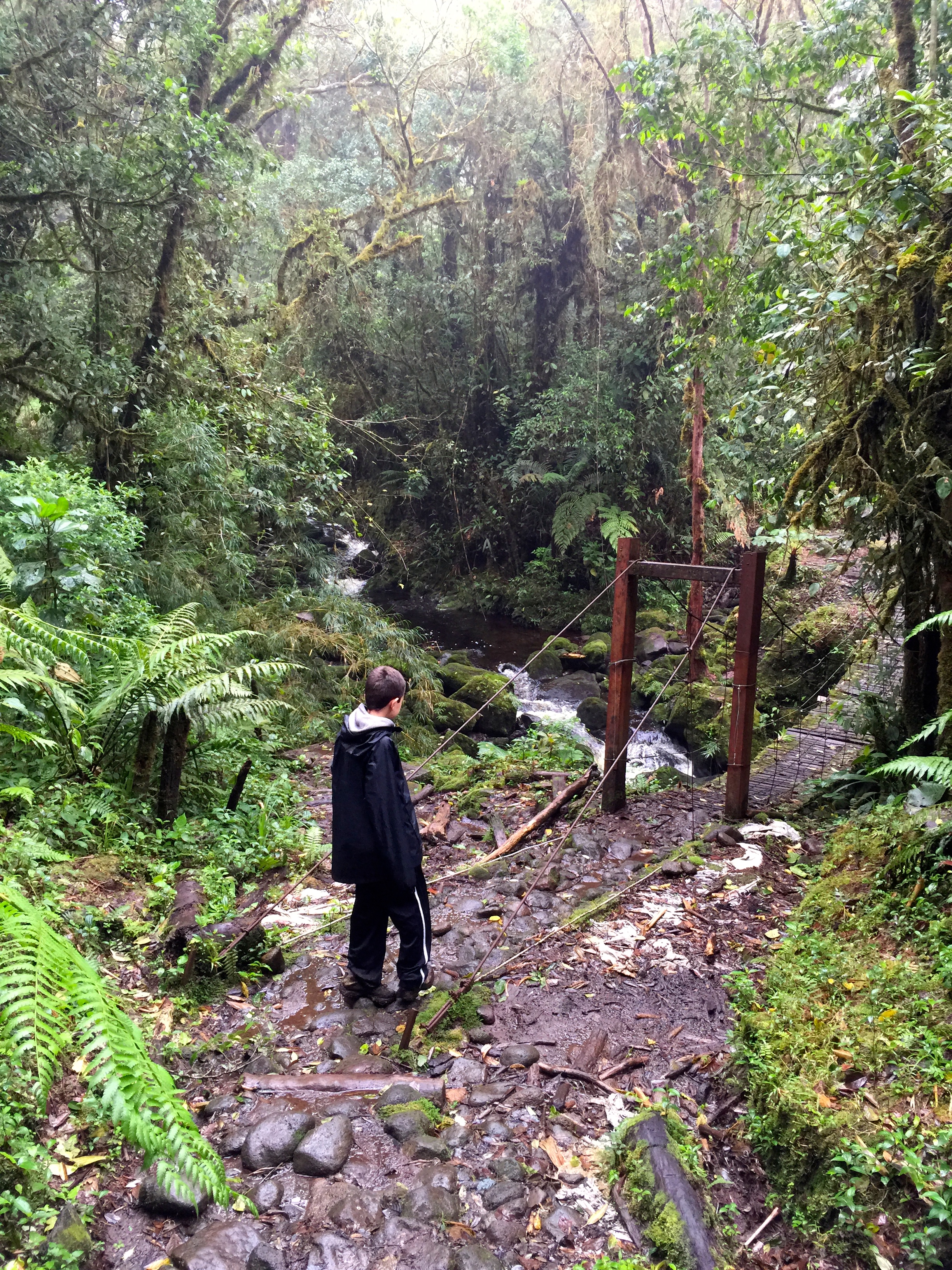 Is that bridge safe?