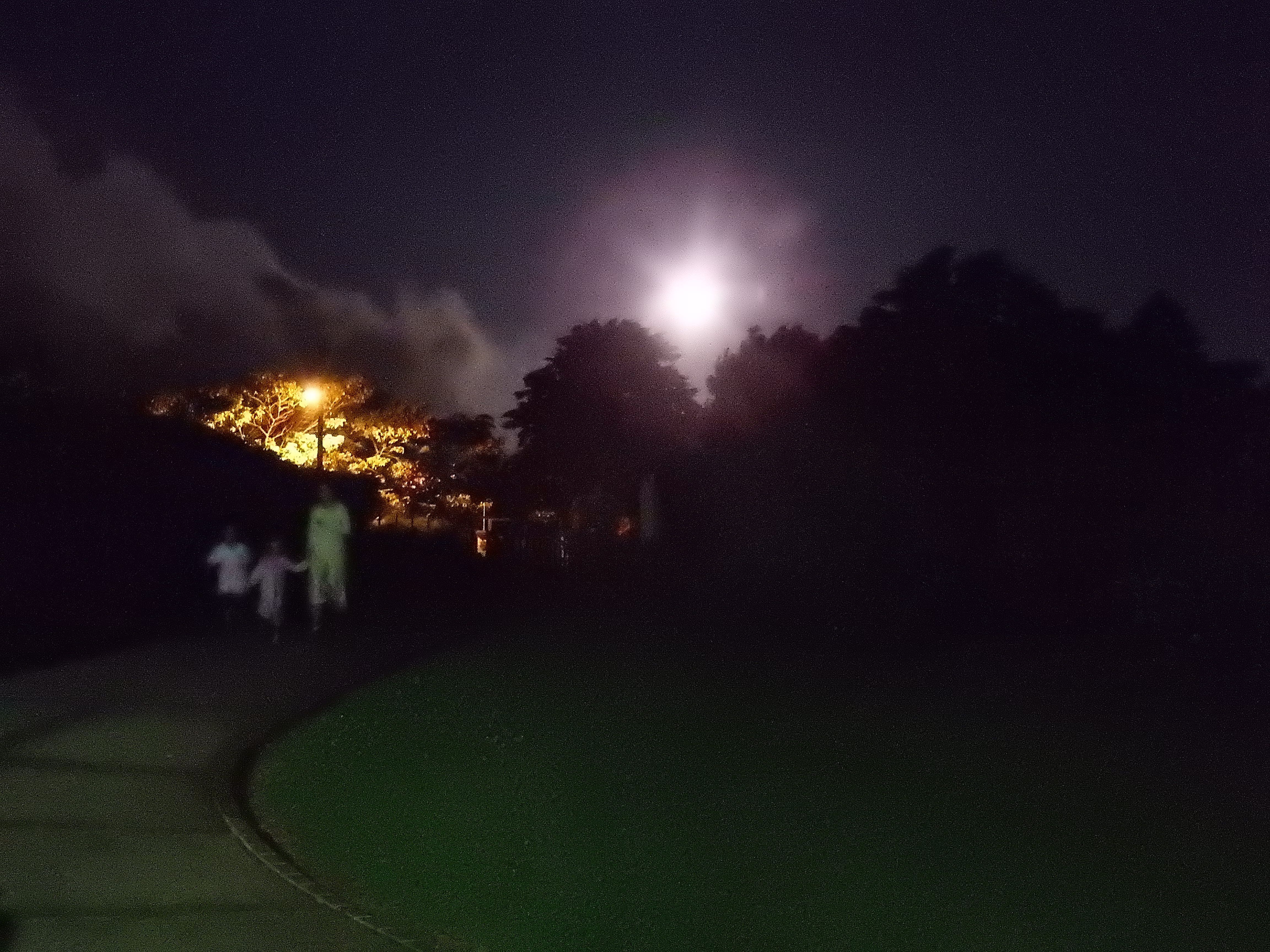 Audrey and kids took a walk outside on Audrey's bday to check out the crazy moon...