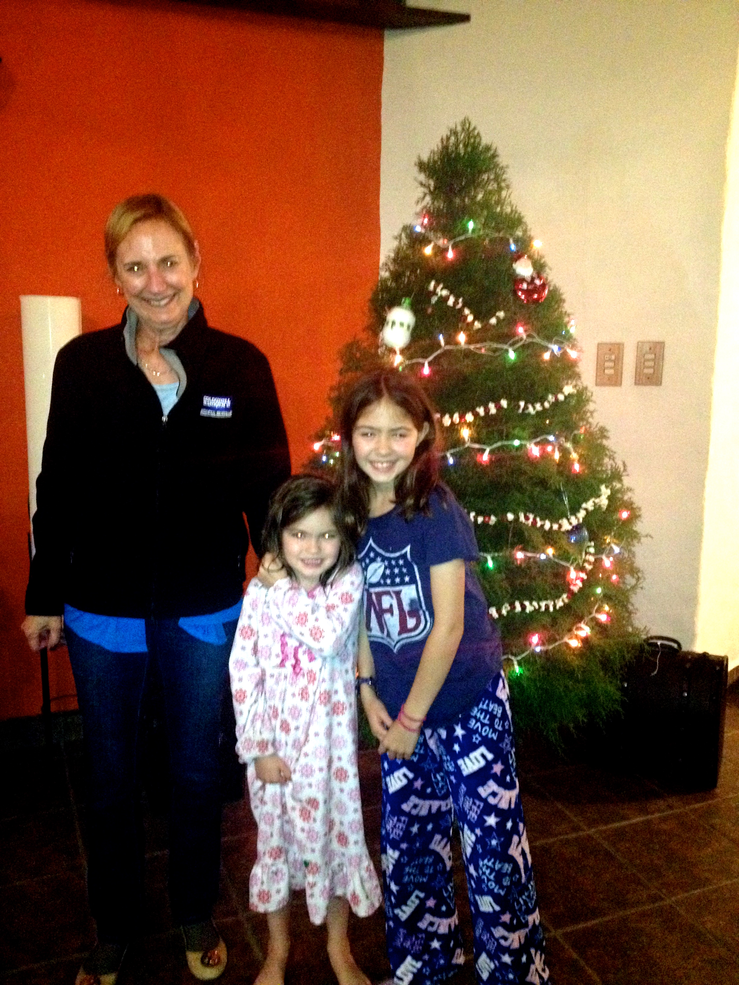 Lia Writes About The First Visitors (Nov-Dec 2014) - By Lia (age 6)