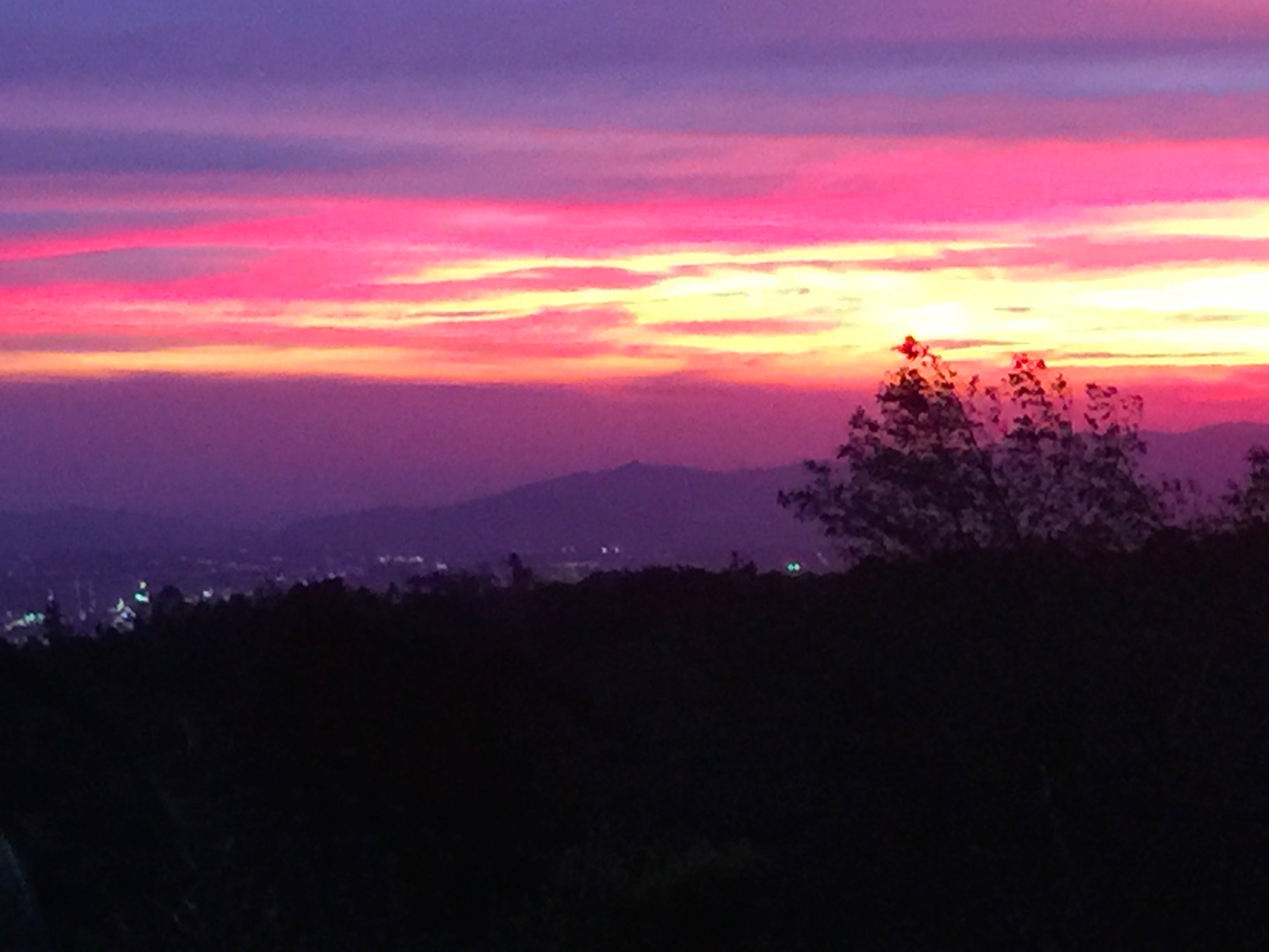 Had to include a few more "view" pics from the house...