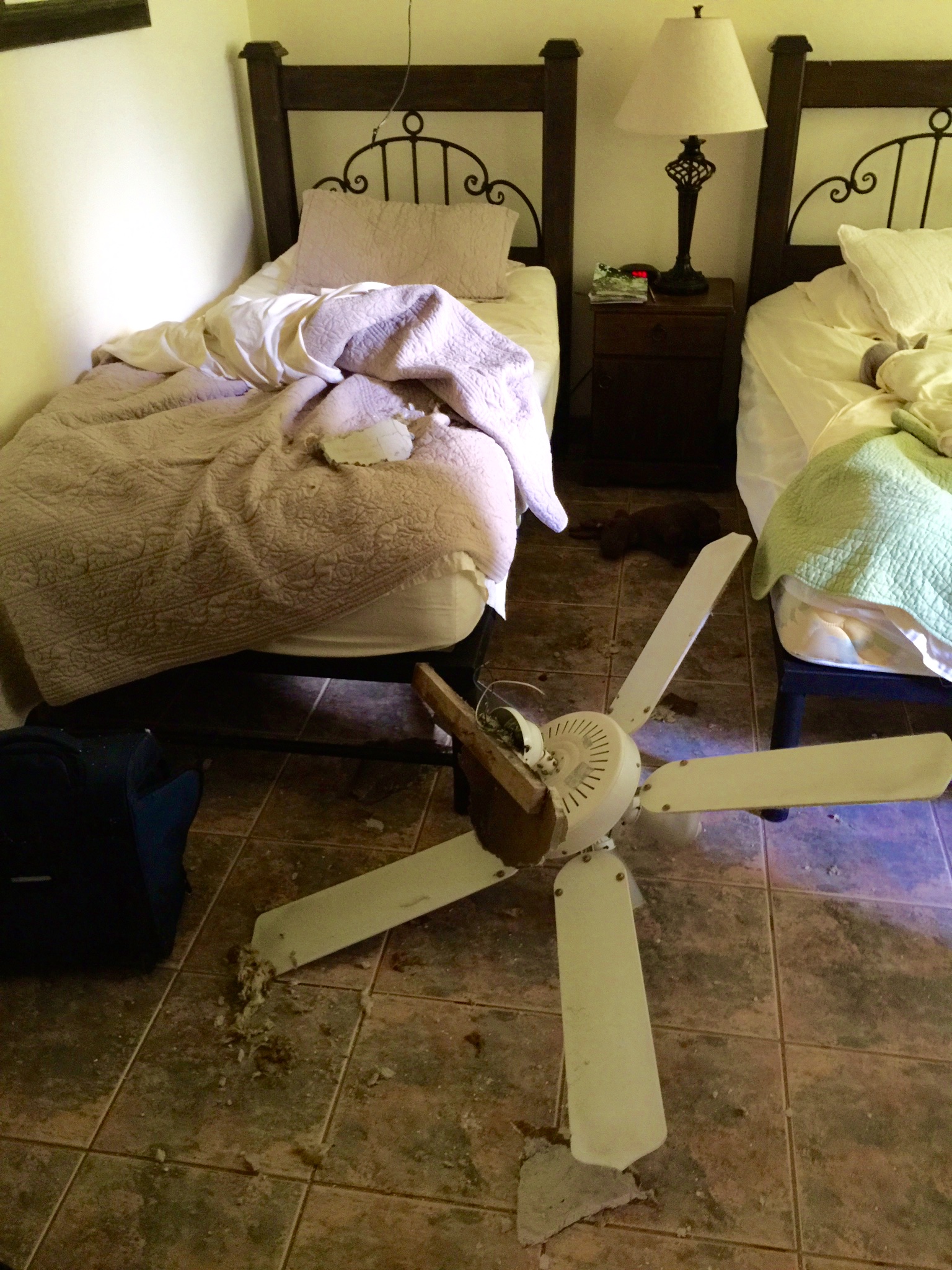 Luckily Jack was sleeping curled up in a ball or this spinning fan would have made a mess of his legs when it hit his bed!