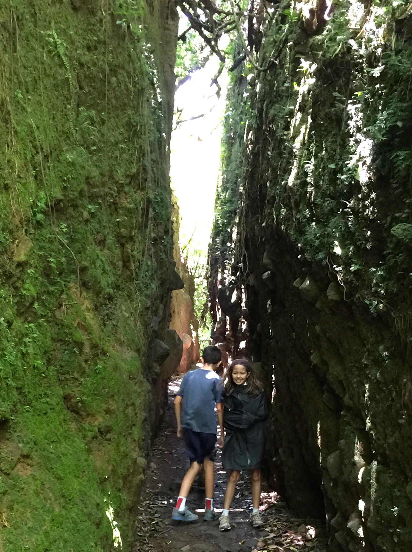 In a mini slot canyon in Mombacho
