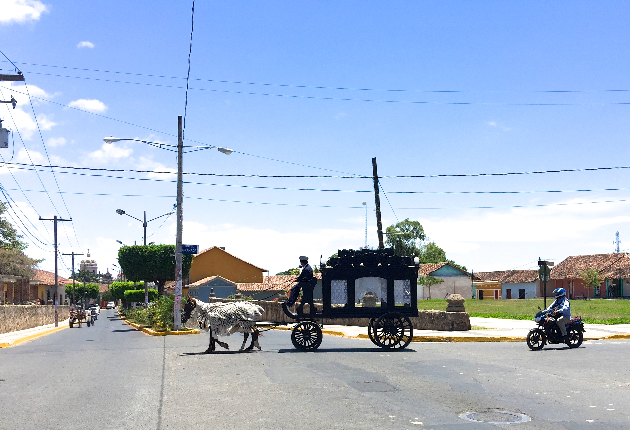 Funeral procession (funeral processions include hearses pulled by horses draped in white clothes)...