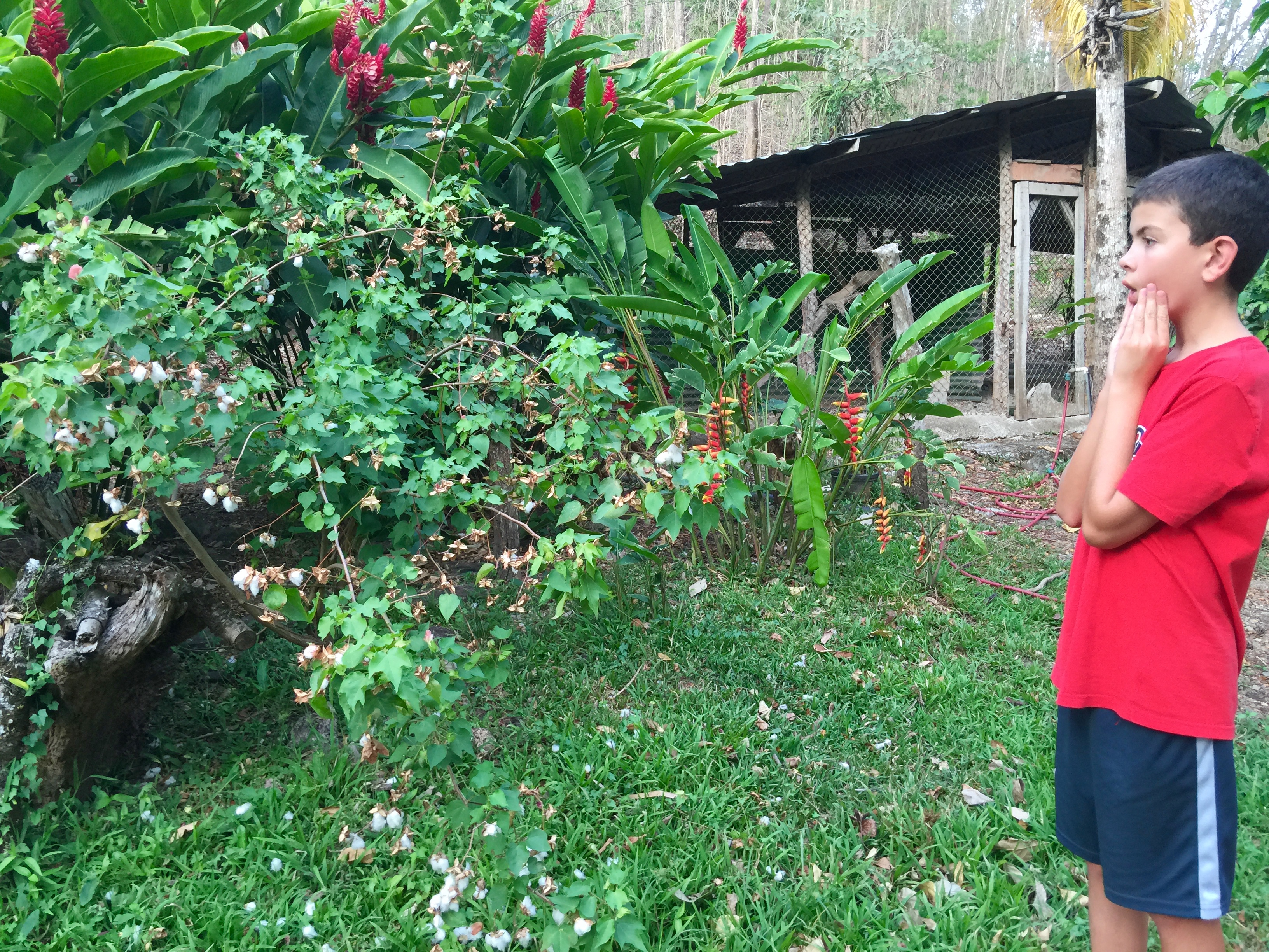 School's Out! (a look back at the first quarter...)