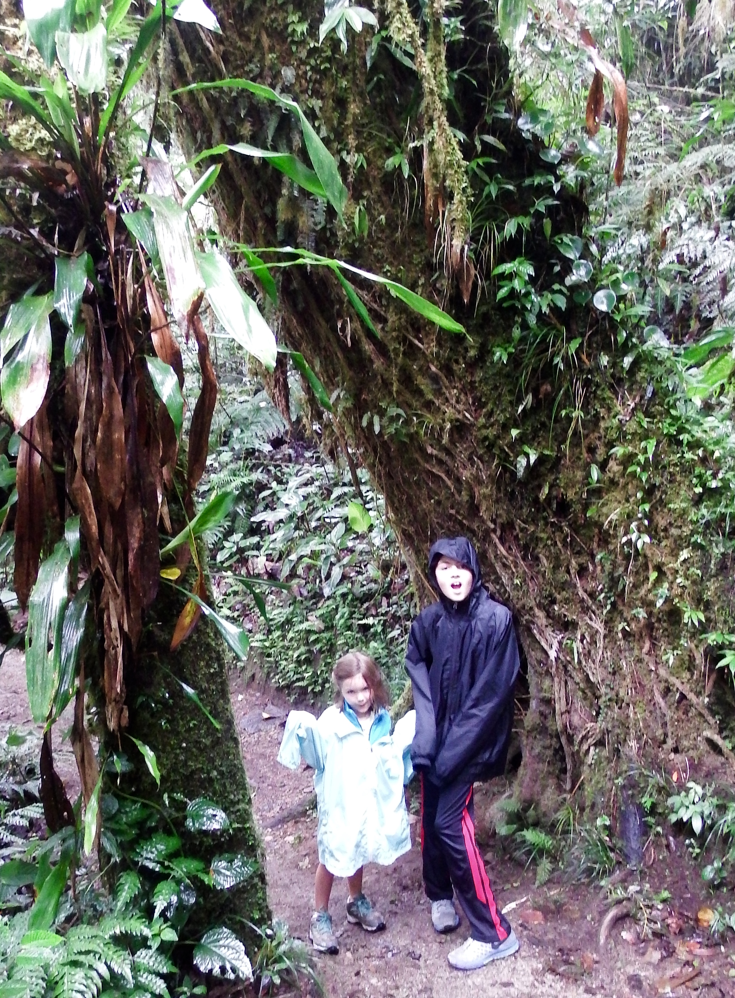 Liadan and I pose under a tree near the hanging bridges...