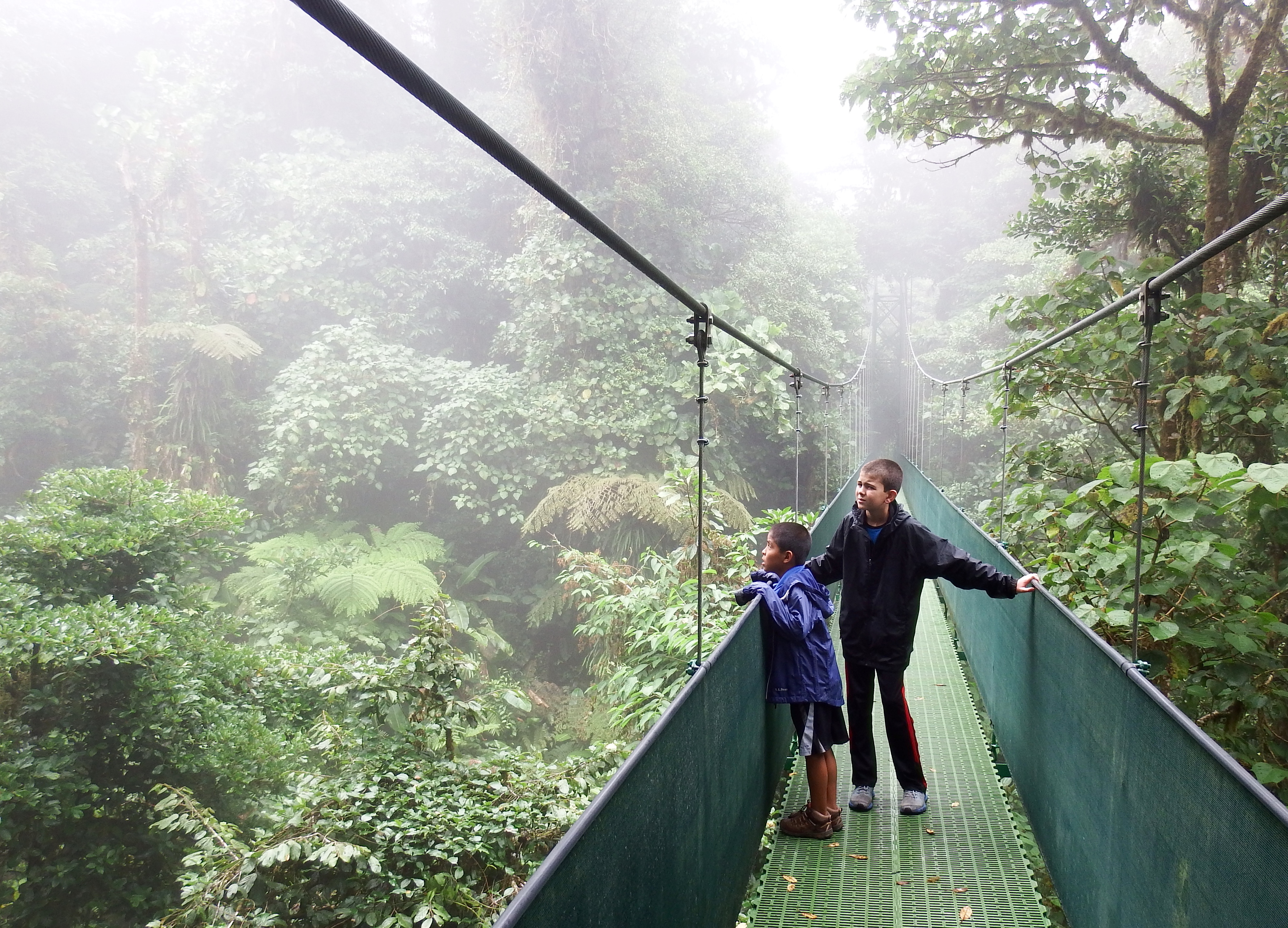 Hikes In the Forests of Monteverde