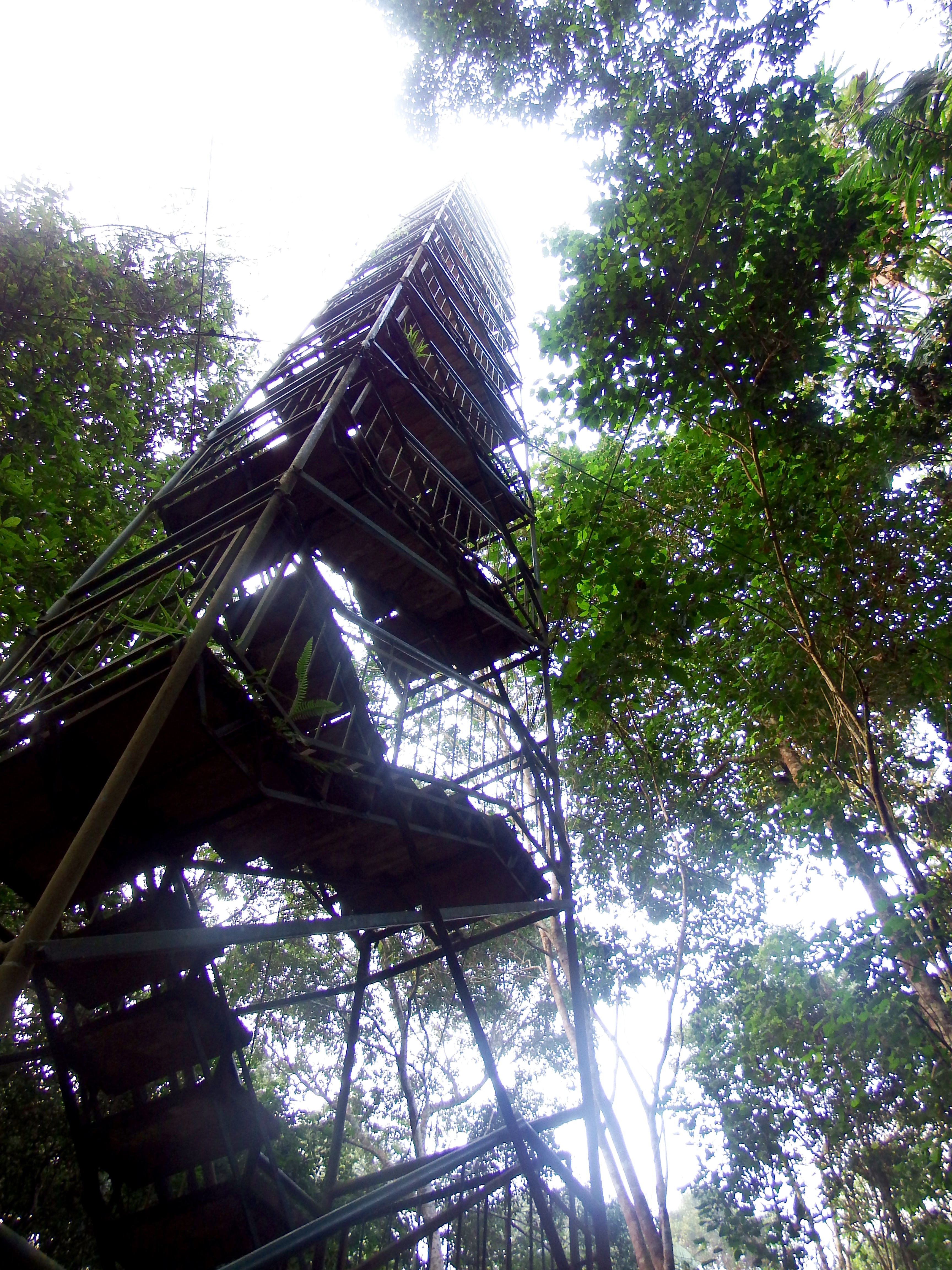 Dad note...this thing was NOT stable...!