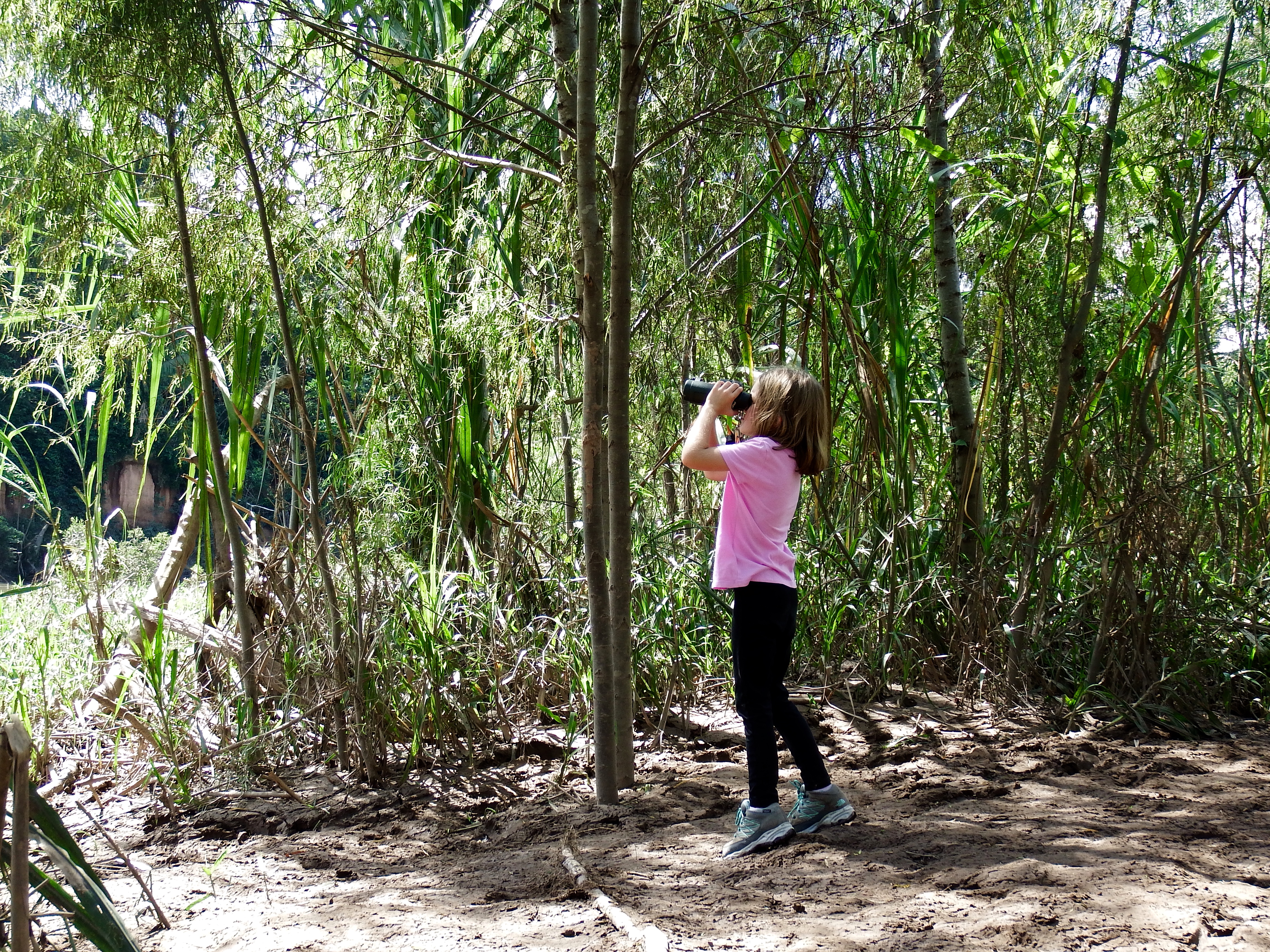 Liadan looking for birds