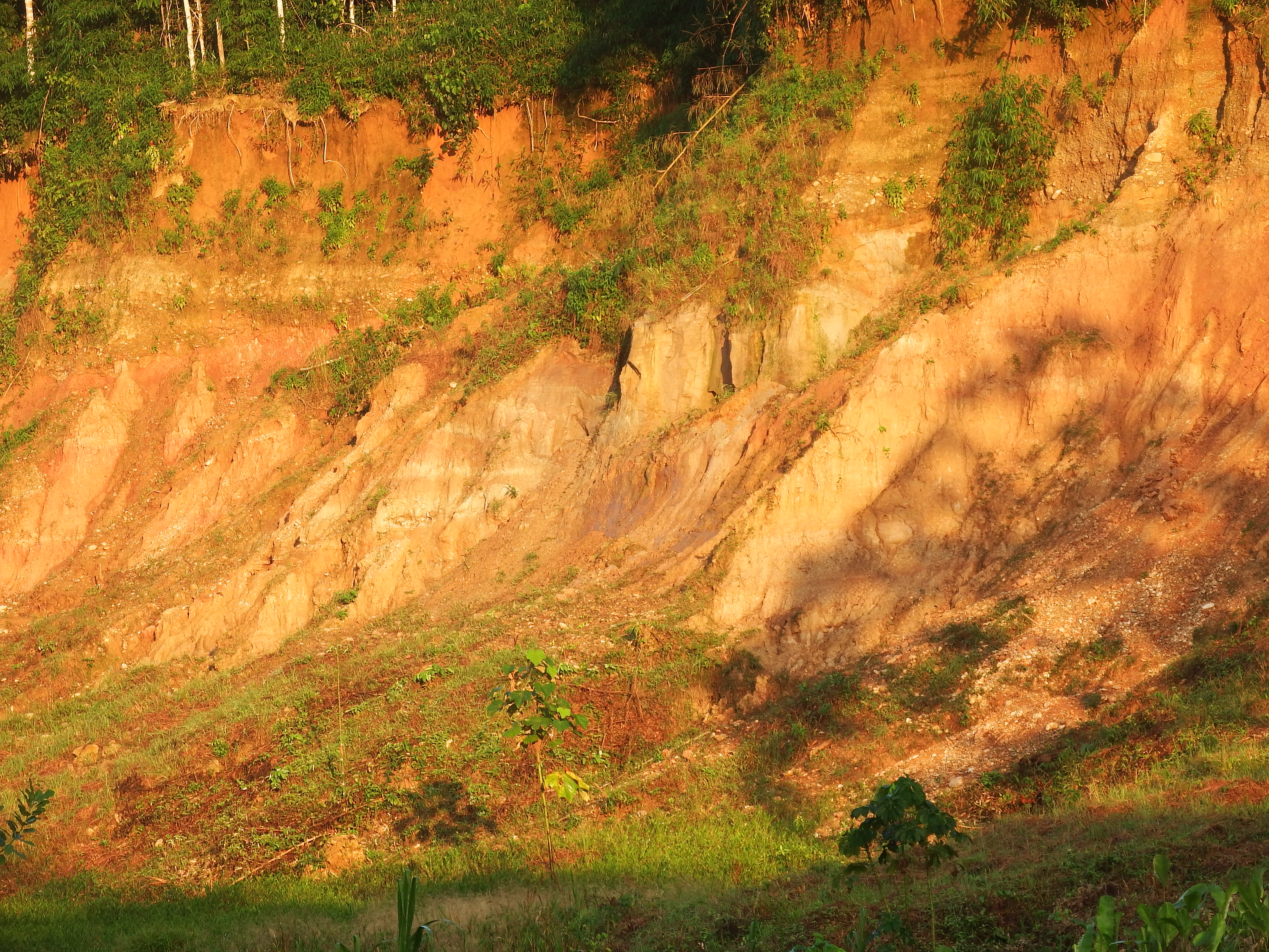 Colpa Colorado ("Red-ish Clay Lick")