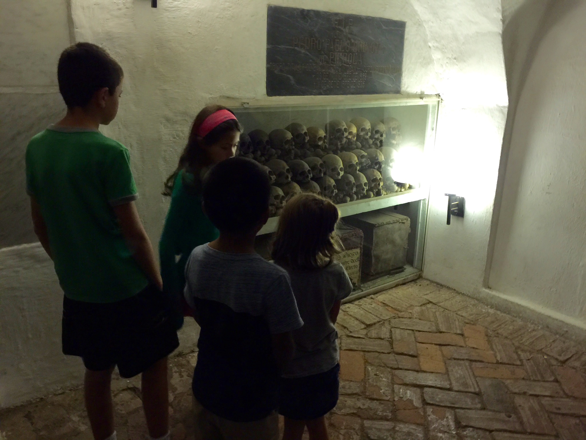 Notice how my mom's no where to be seen in this pic? She wouldn't even take a look at those grinning skulls.