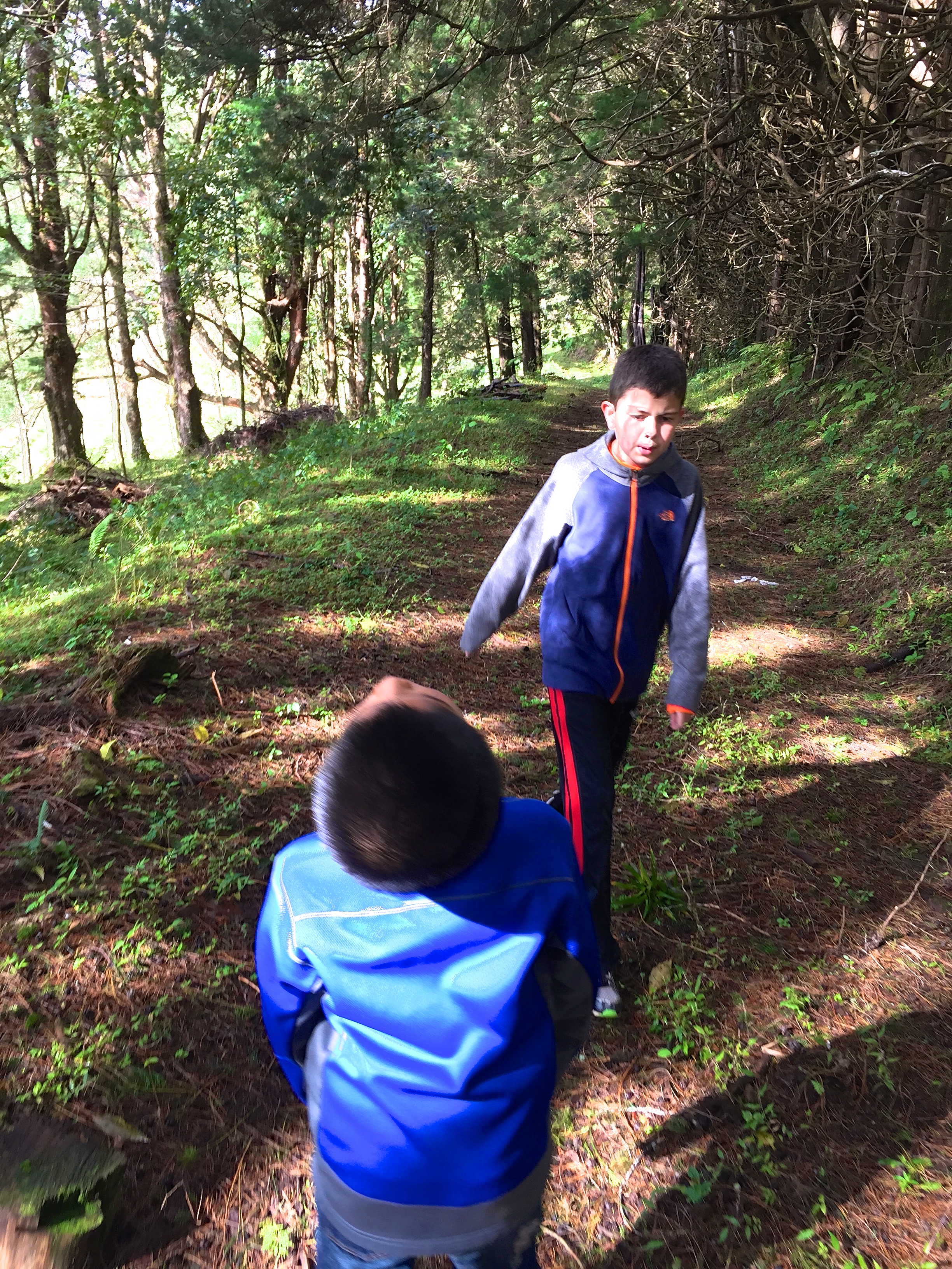 Hikes Around Heredia, Jan. 2015