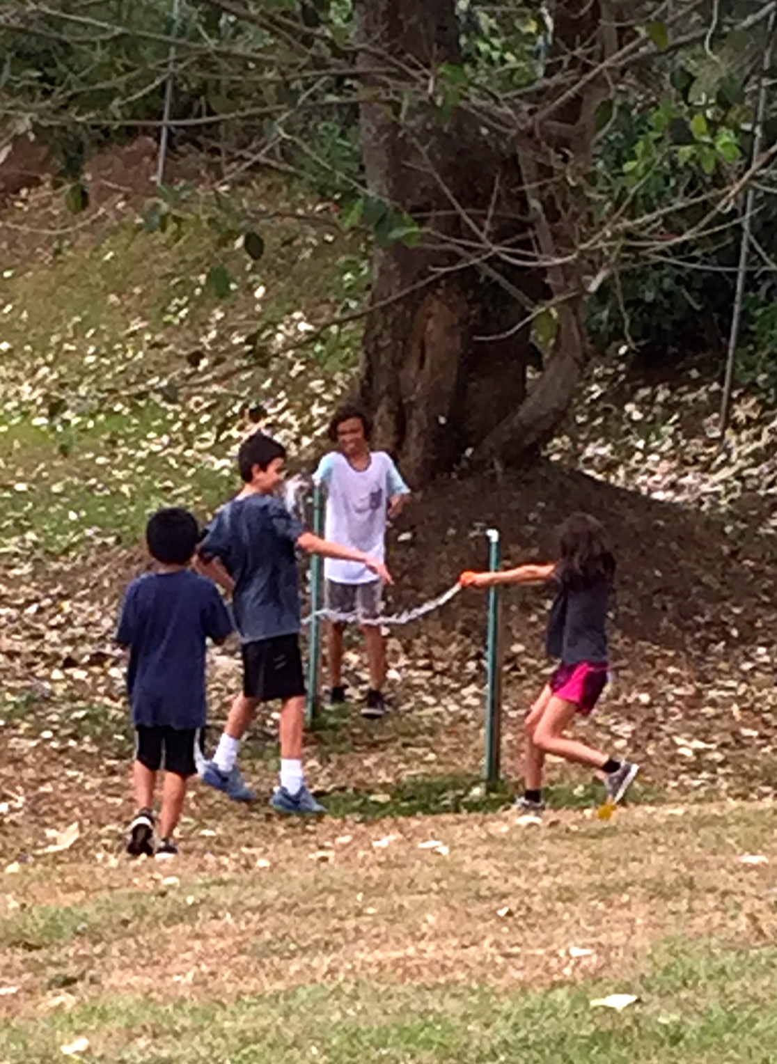 Assorted Feb 2015 (School, Tennis, Swimming, Art, Etc.)