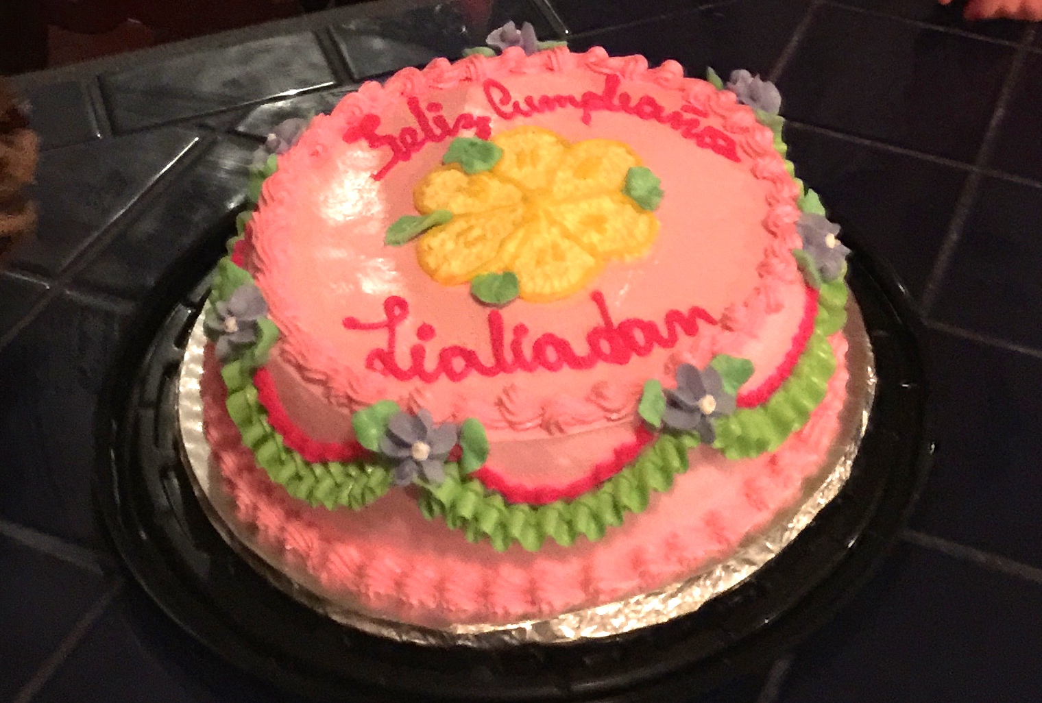 Mi Cumpleaños en Nicaragua (by Liadan...now SEVEN years old!)