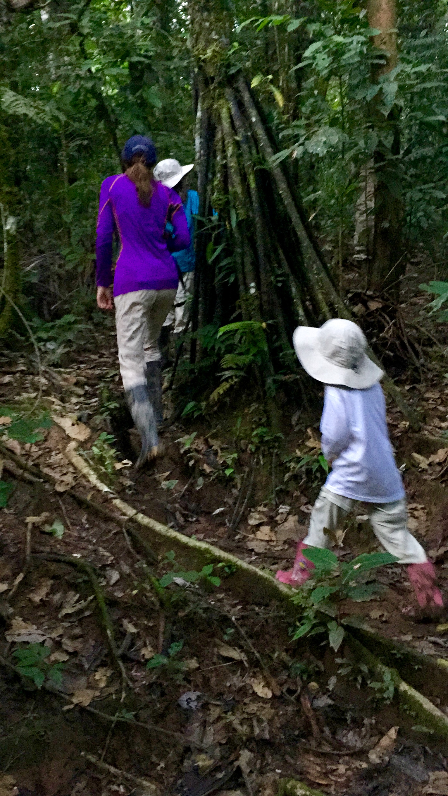 The boats are mandatory even if there is no mud...because of the snakes...