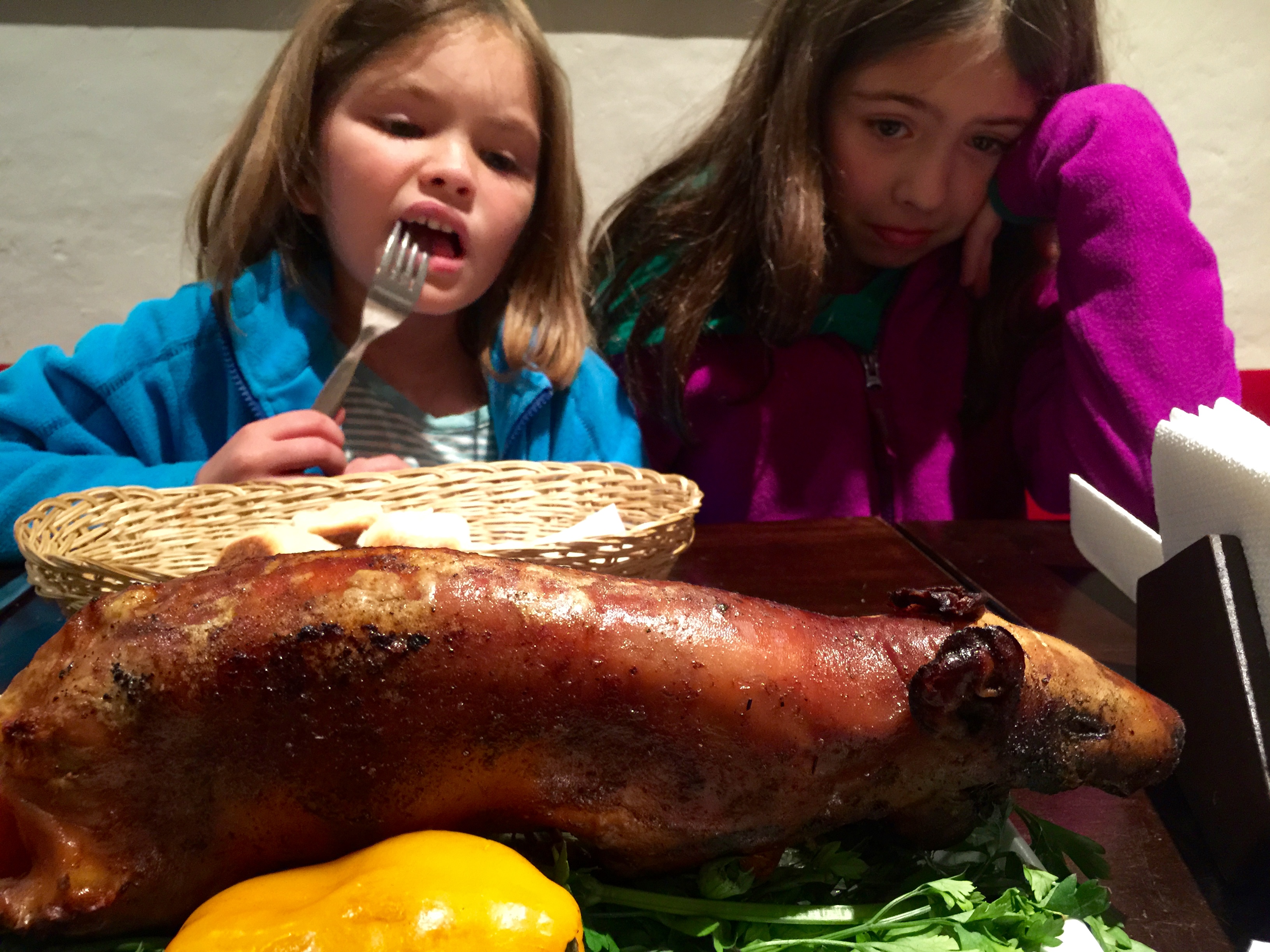 A candid.  As you can see, Ella felt bad for the guinea pig.  : (