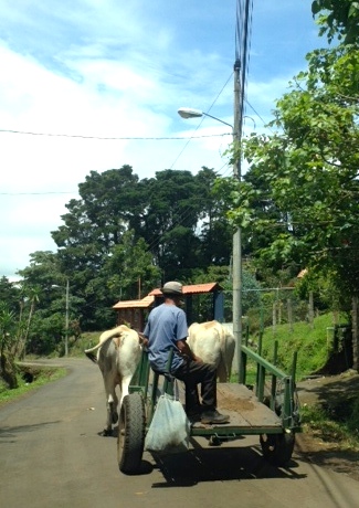 08.31 Musings Part #1 - The Ox-Cart Guy vs. The L.A.-Style Mega-Homes
