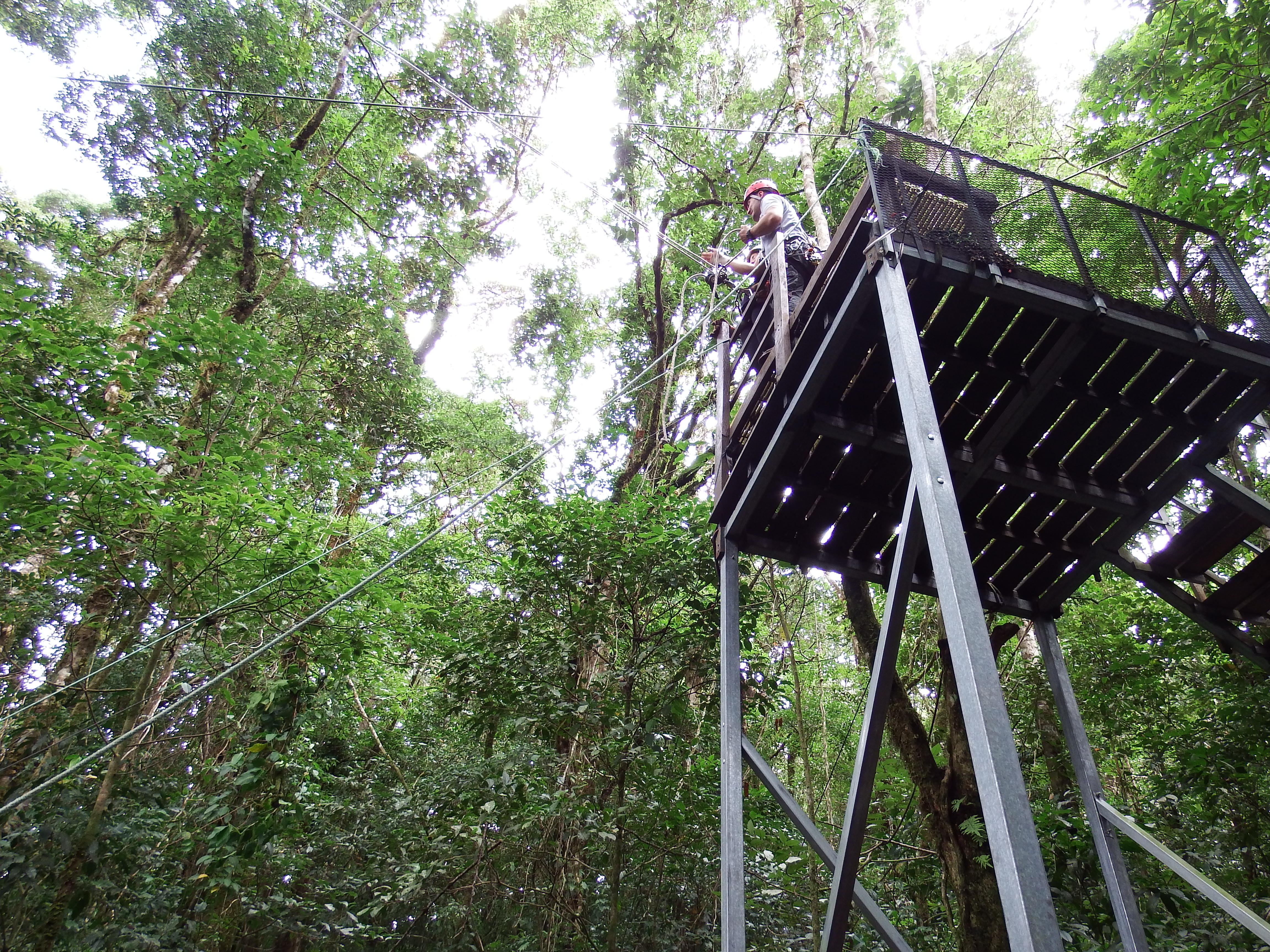 Tarzan Swing from the ground...