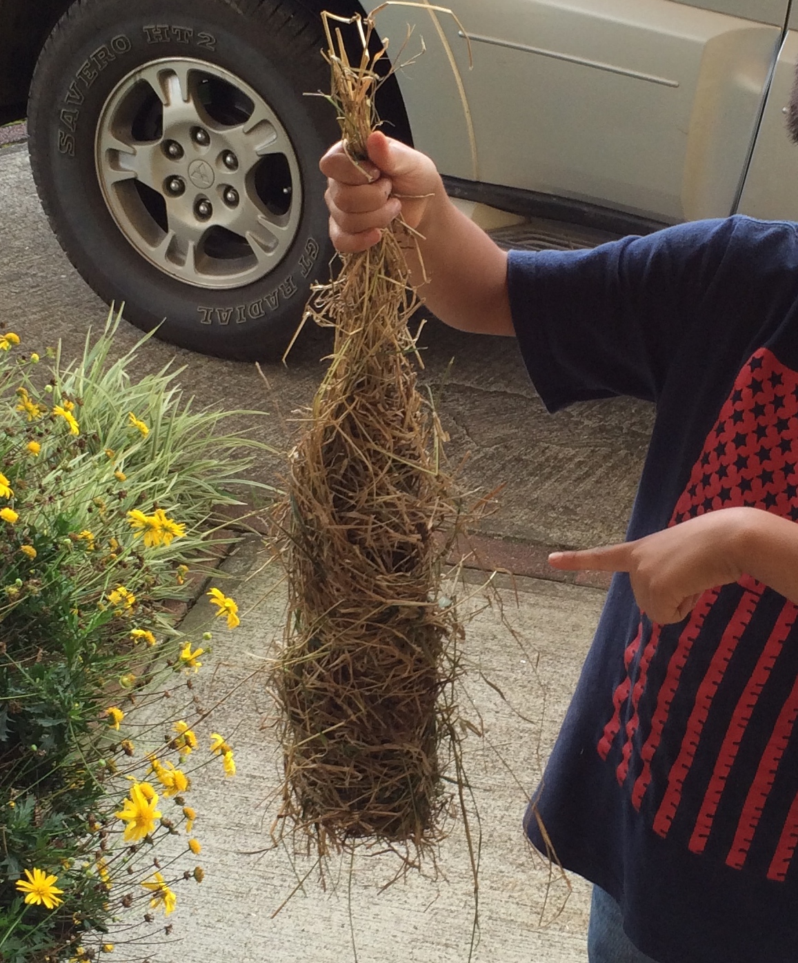 Charlie has been into making his own "Montezuma" birds nests around the house