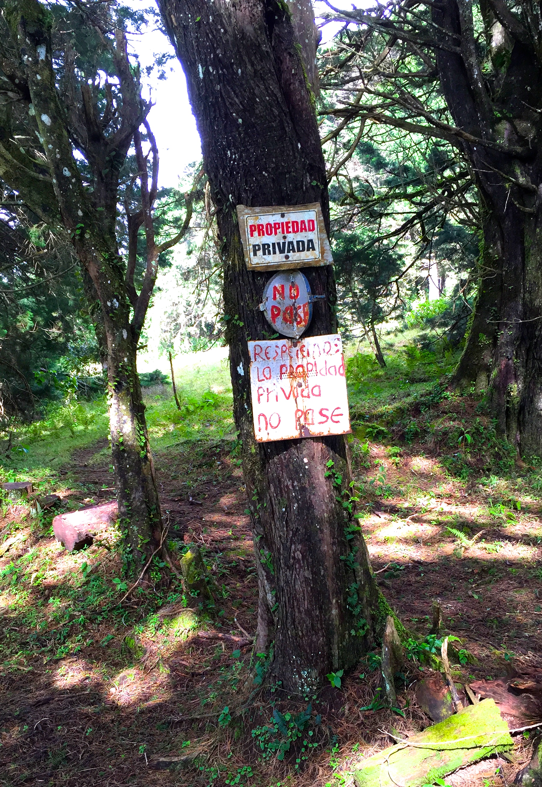 Jack, Charlie and I finally decided to ignore this sign and see what lay beyond the barbed wire fence at the end of our road...