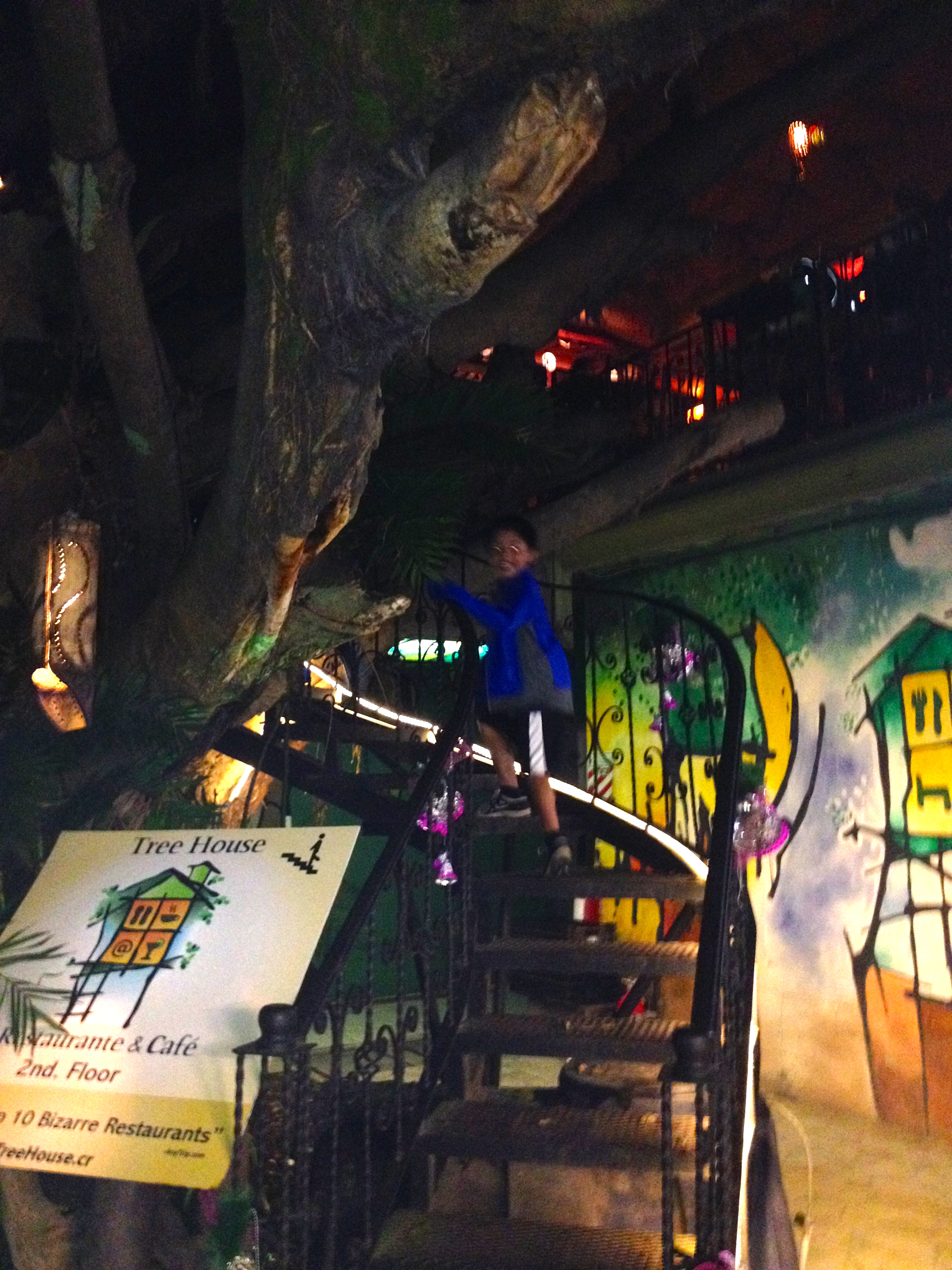 Going up the stairs next to the tree.