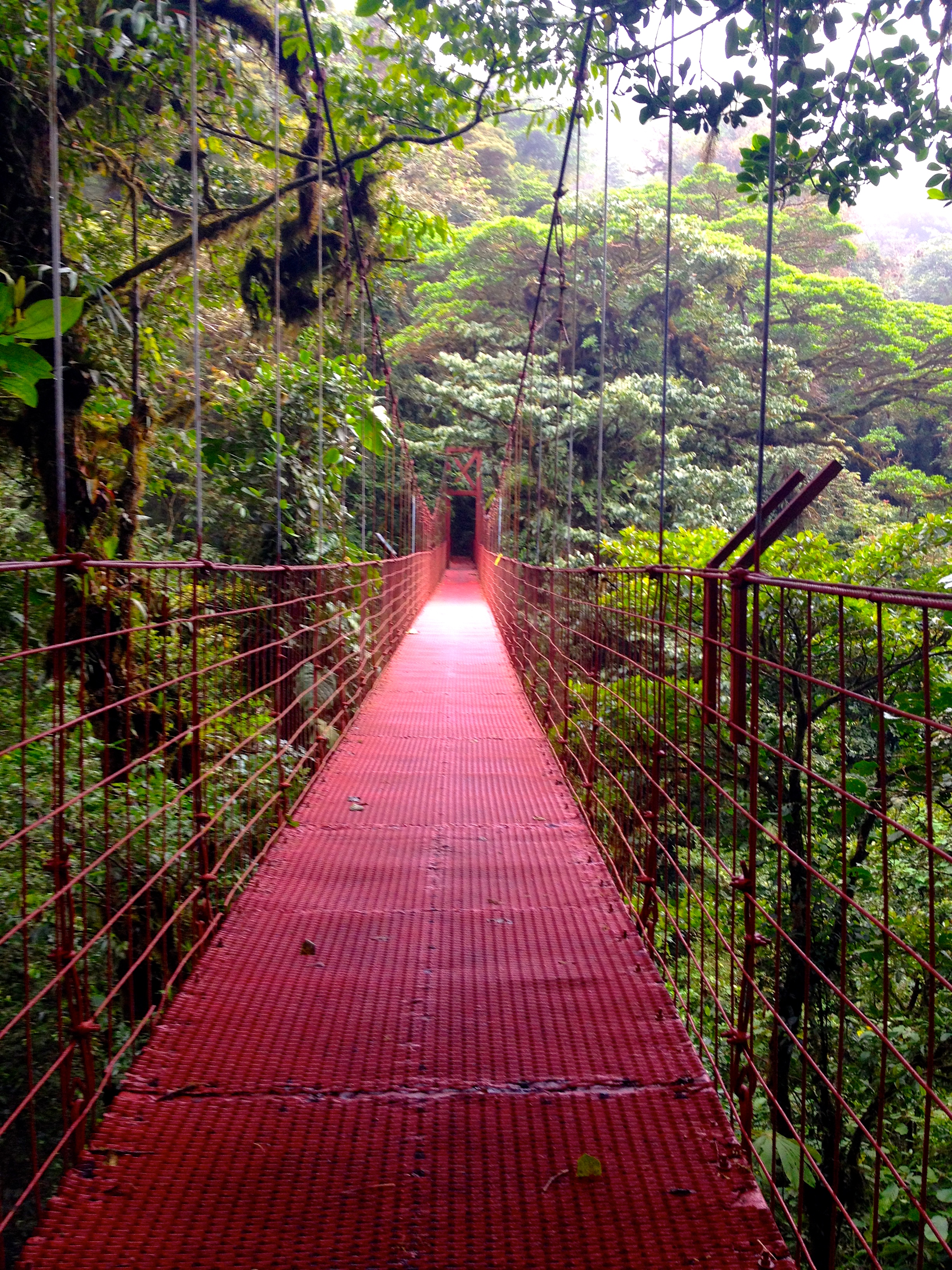 The bridge
