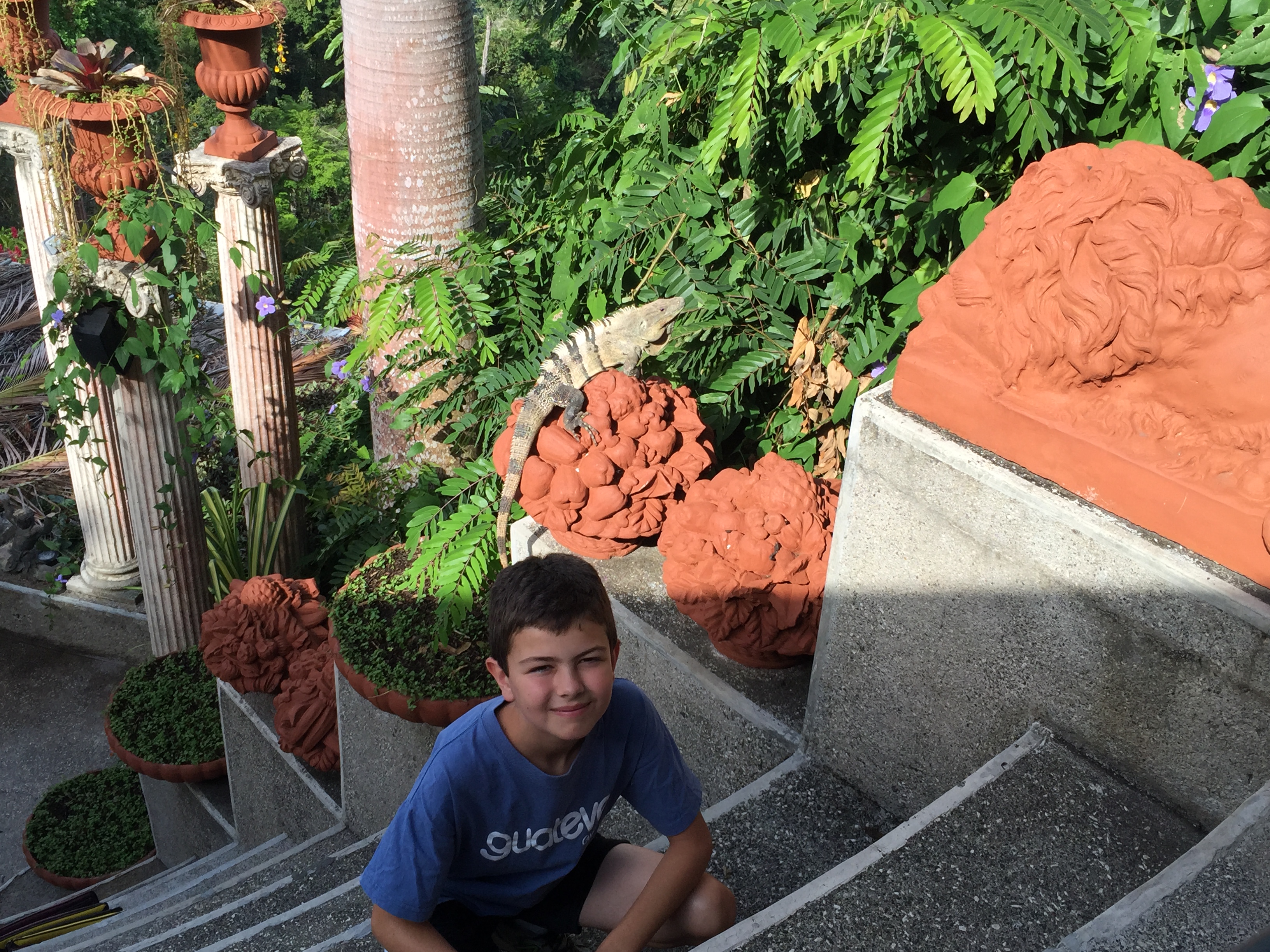 Jack and an iguana