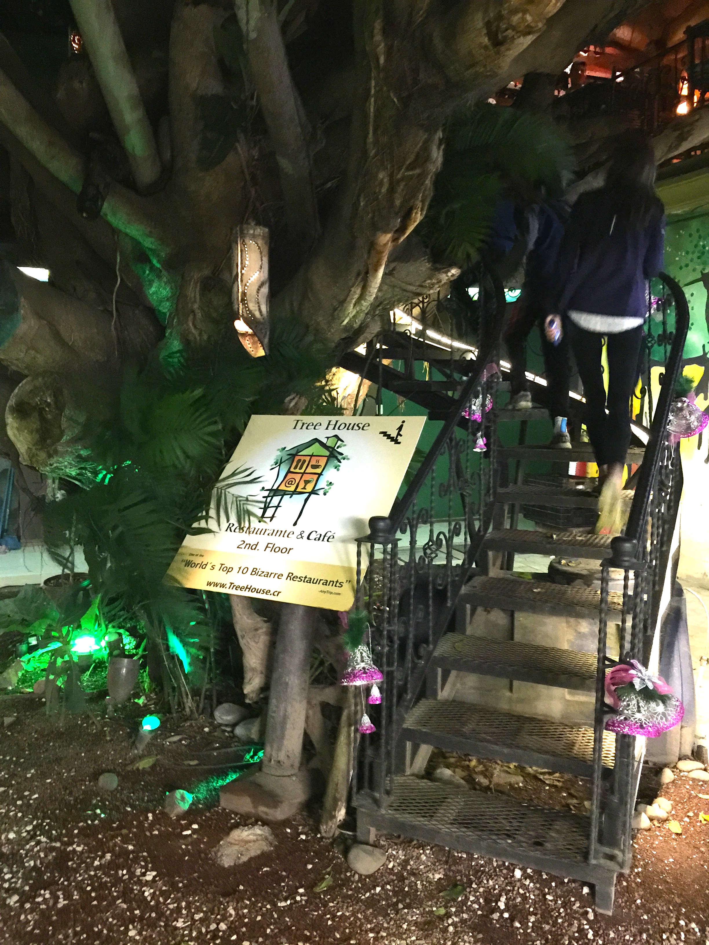 Monteverde Again (2014.12)