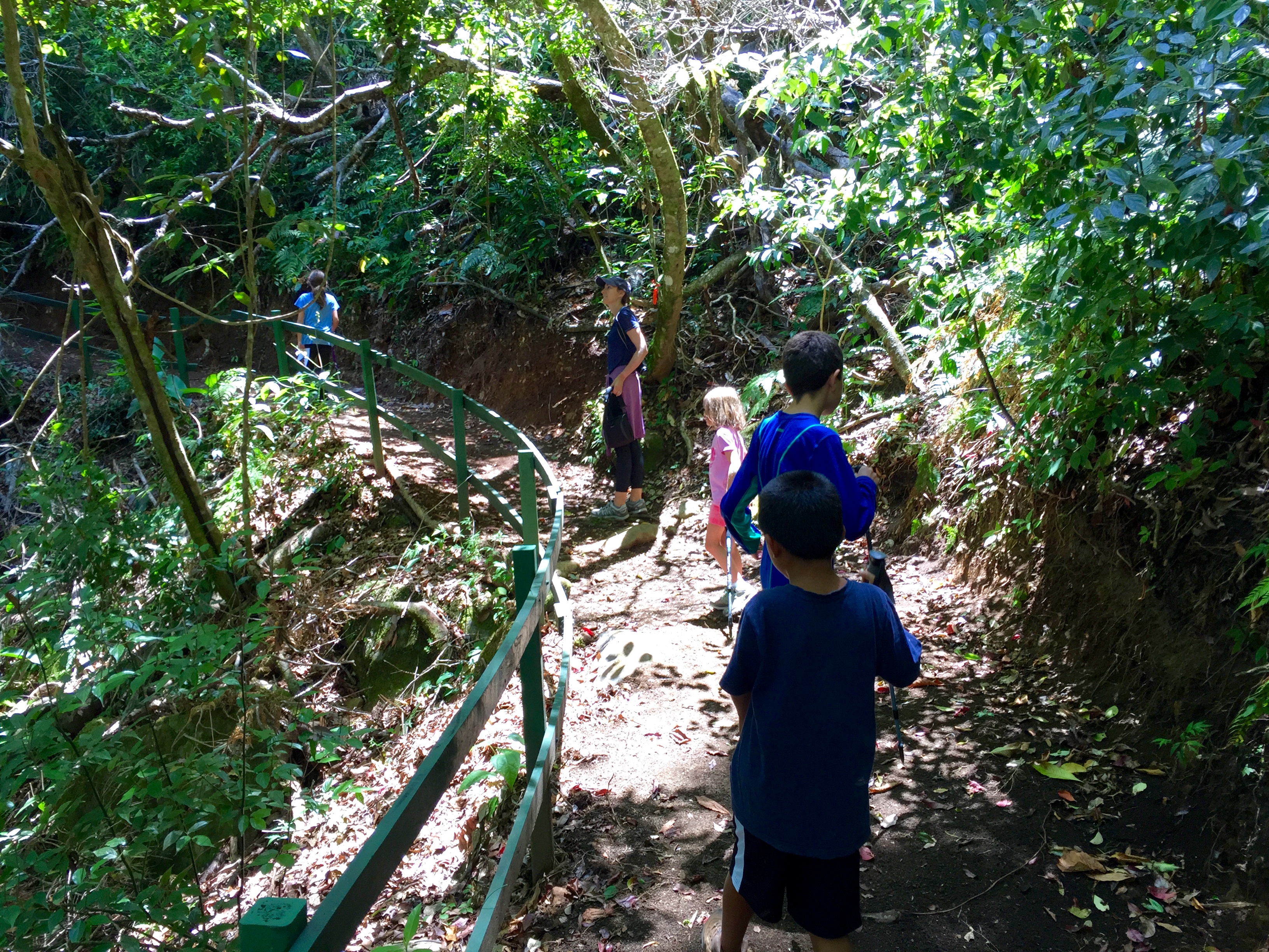 Hiking in Bajo del Tigre