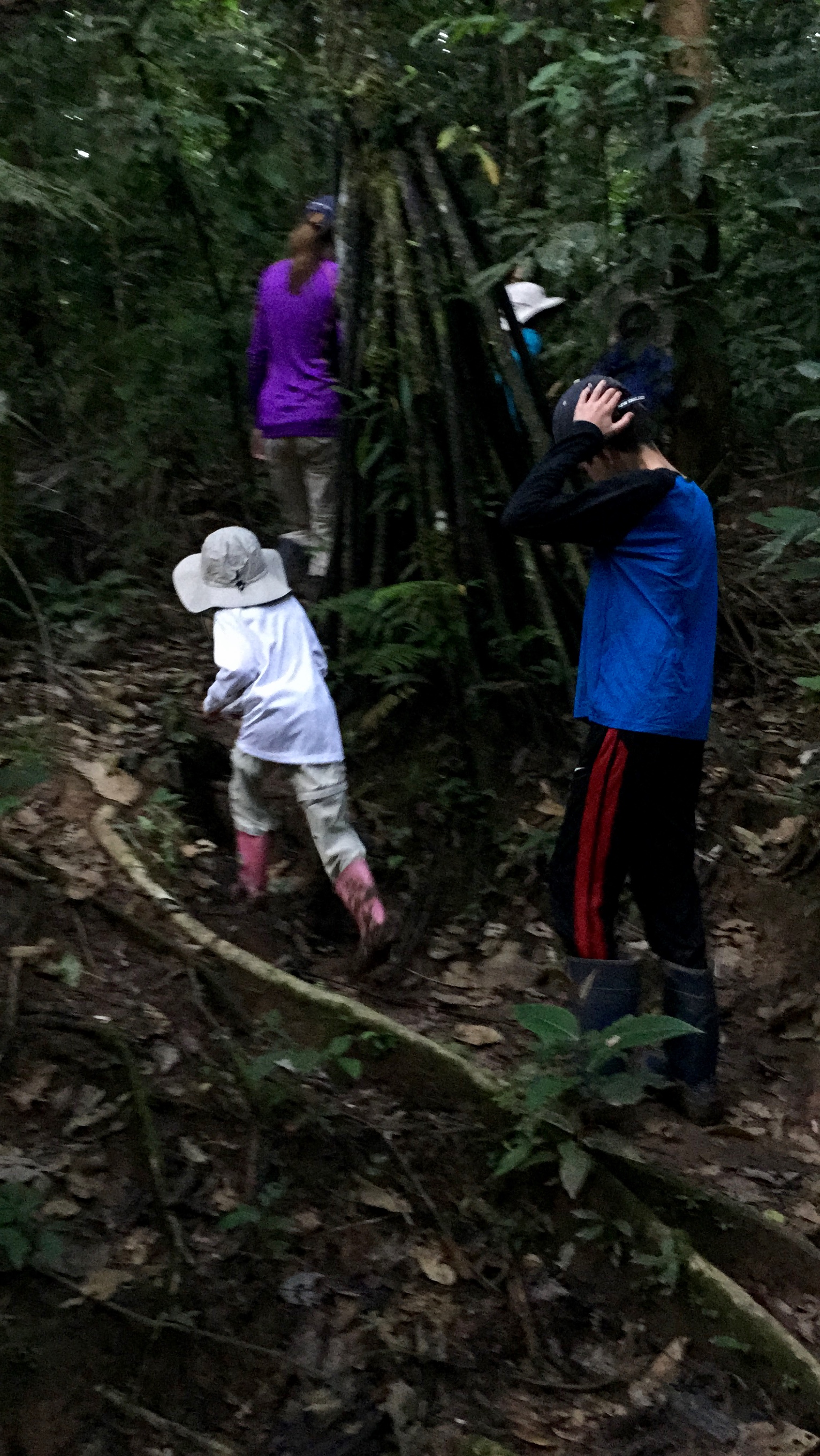Hiking at dusk