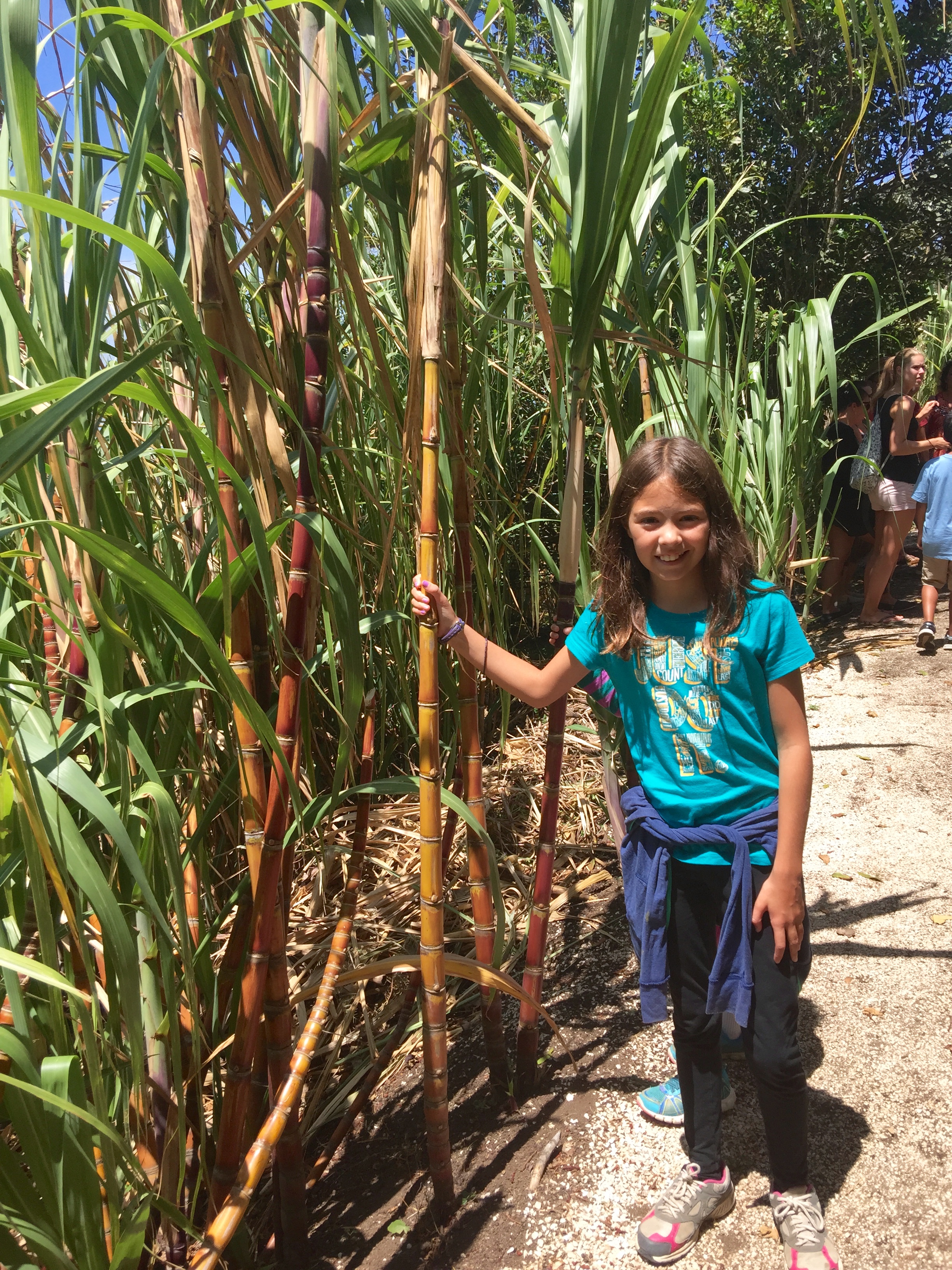 Ella during an outing to El Trapiche to learn about sugar plantations...